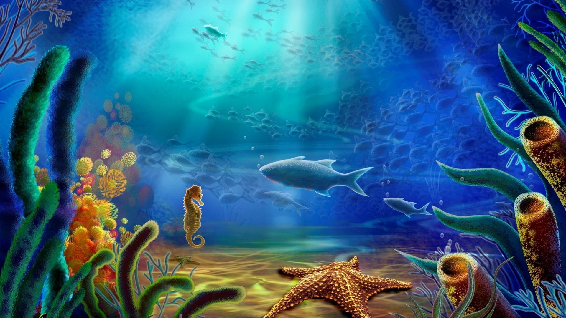 Cavalluccio marino, Stella marina, Squalo, Coralli, Illustrazione, sfondo 16:9 Full HD