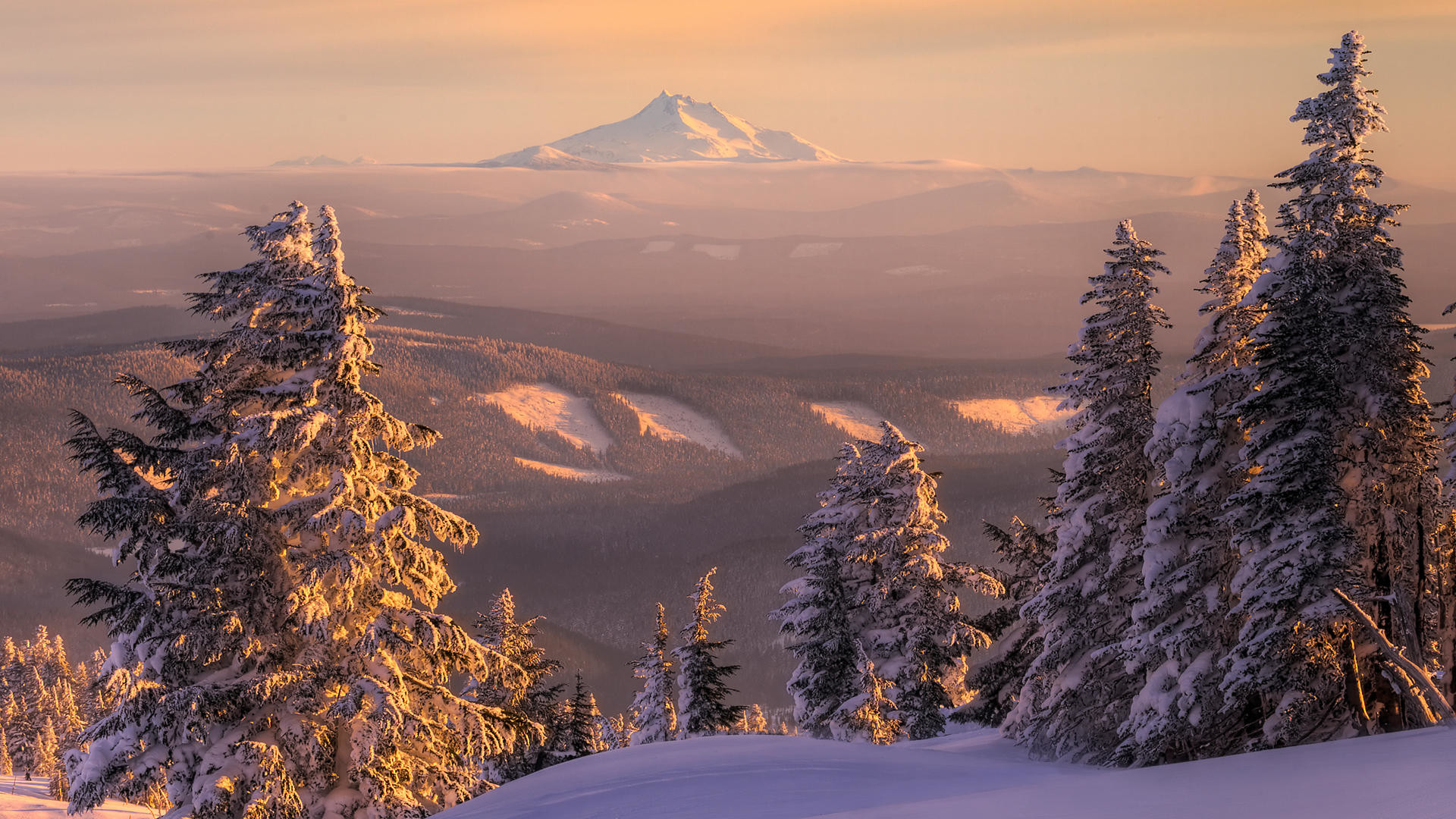 Abeti innevati, Monte Hood, Tramonto, Montagne, 1920x1080, immagine di sfondo