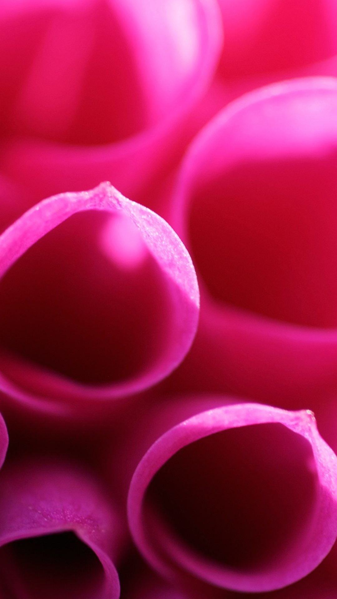 Cannucce, Rosa, Macro, Astratto, schermata Home Samsung S4