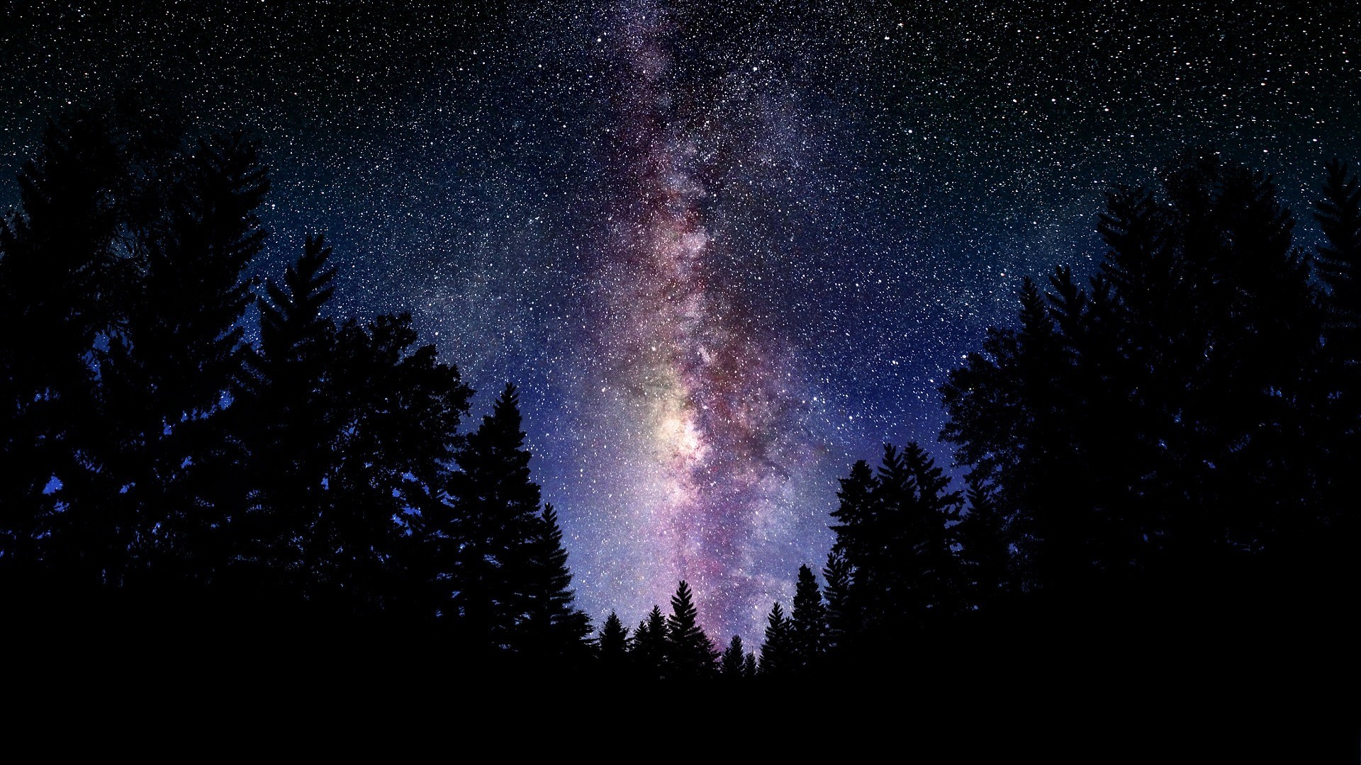 Via Lattea, Foresta, Silhouette, Cielo notturno, Full HD, sfondo per PC e portatile