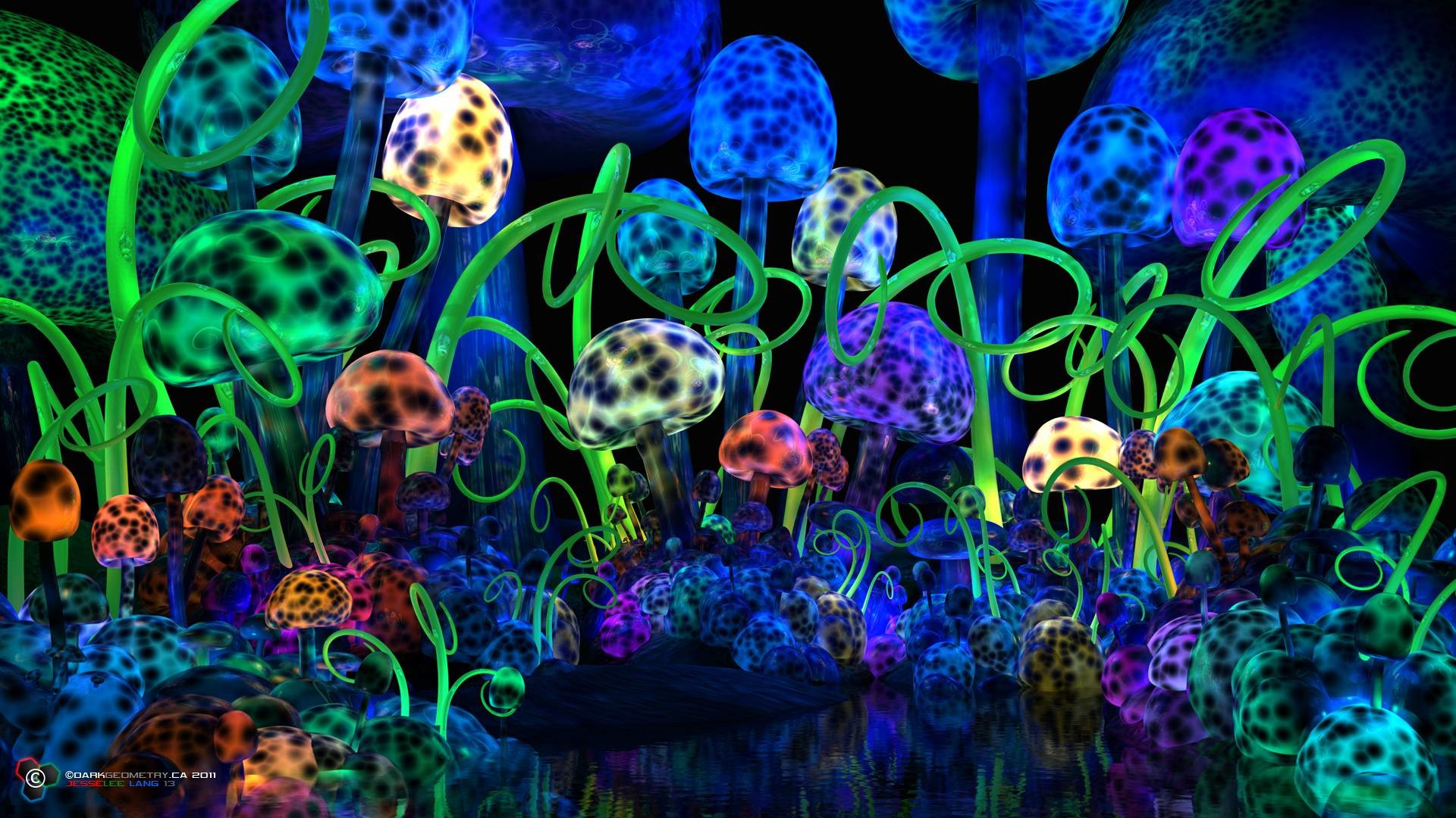Funghi, Arte psichedelica, Colori neon, Full HD 1080p, sfondo desktop