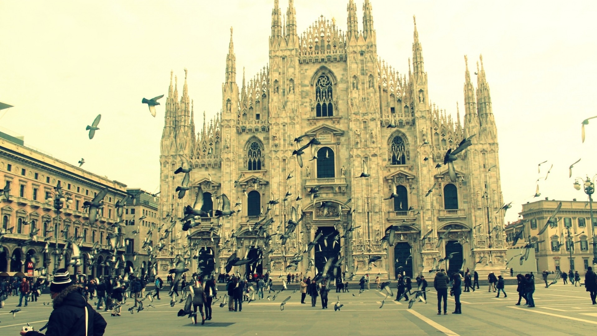 Duomo di Milano, Milano, Piazza del Duomo, Piccioni, Vintage, Full HD, sfondo desktop