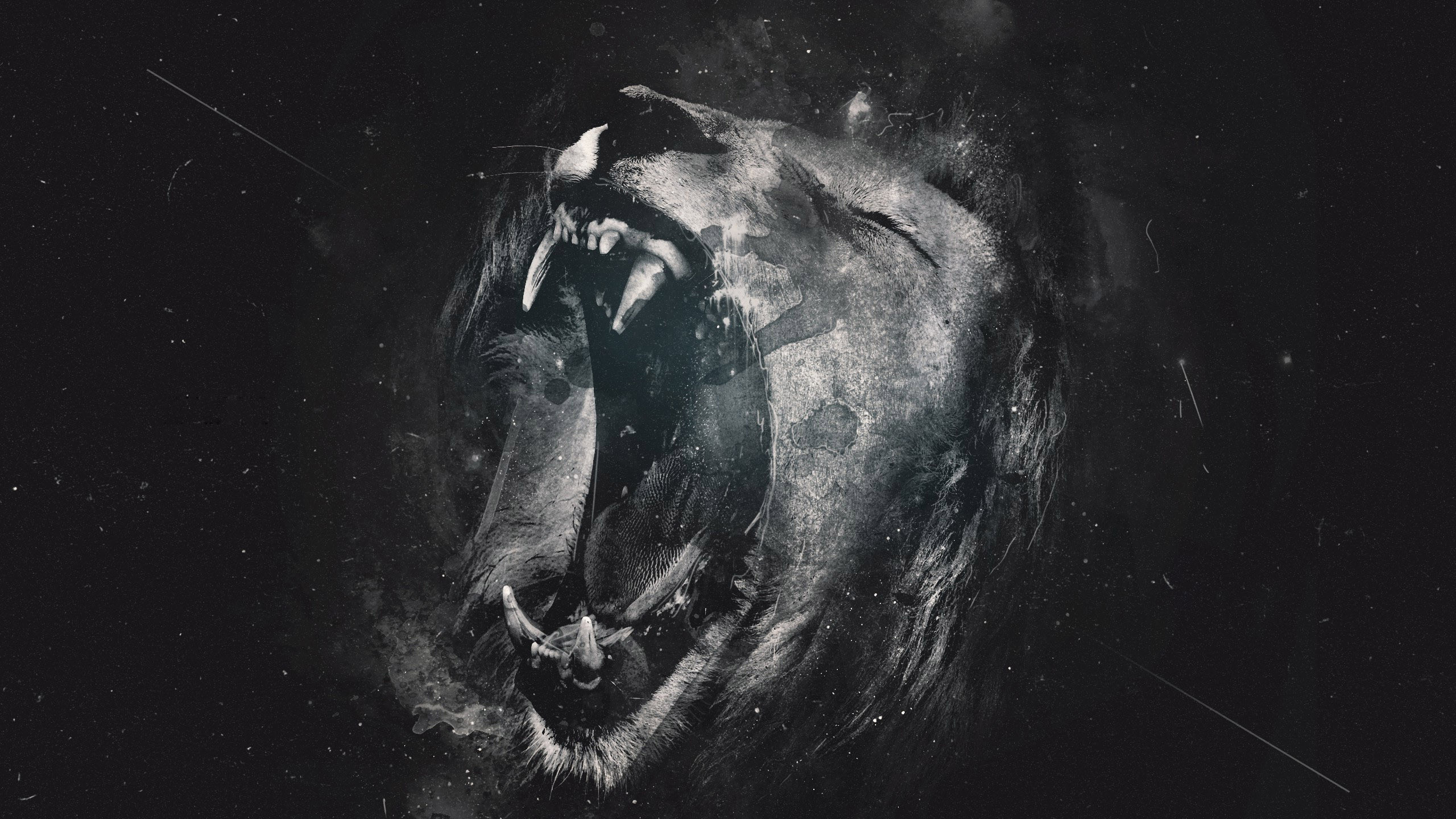Leone, Ruggito, Bianco e nero, Arte digitale, 2560x1440, immagine di sfondo