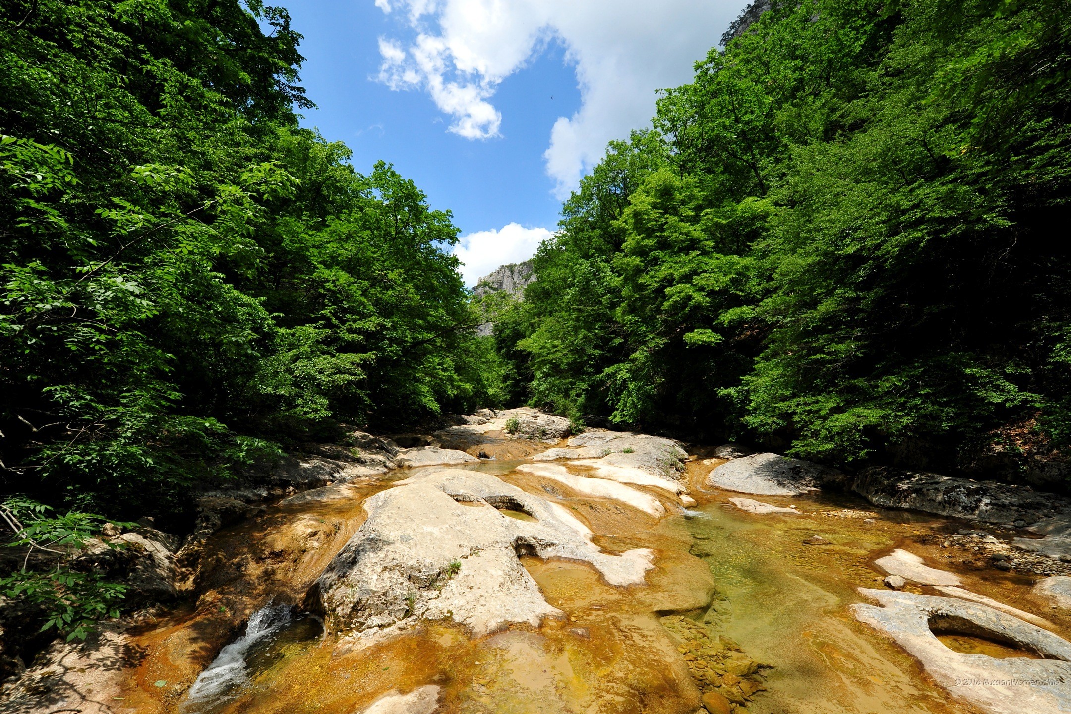 Fiume, Rocce, Bosco, Cielo azzurro, sfondo per tablet