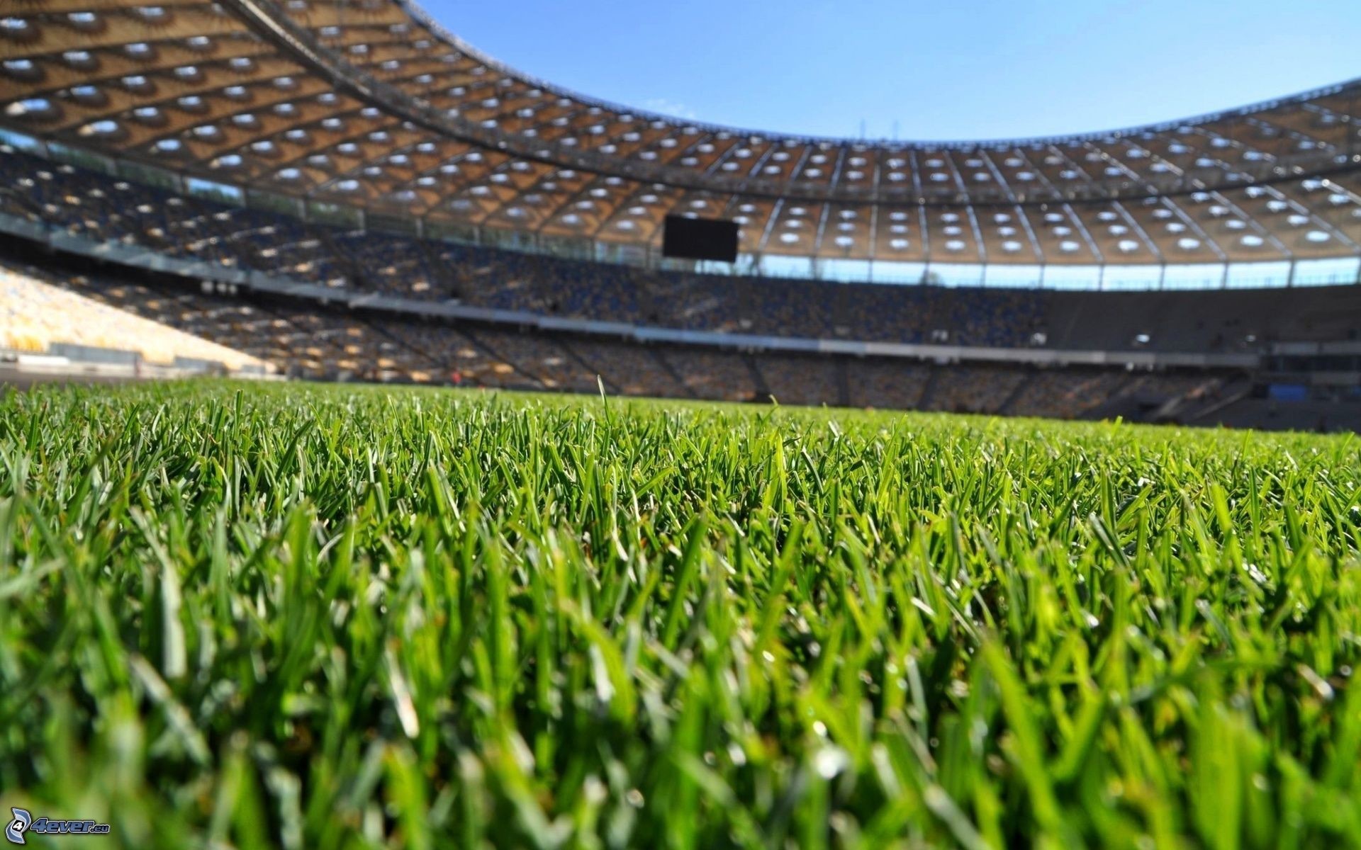 Erba, Stadio, Primo piano, Full HD, sfondo per PC e portatile