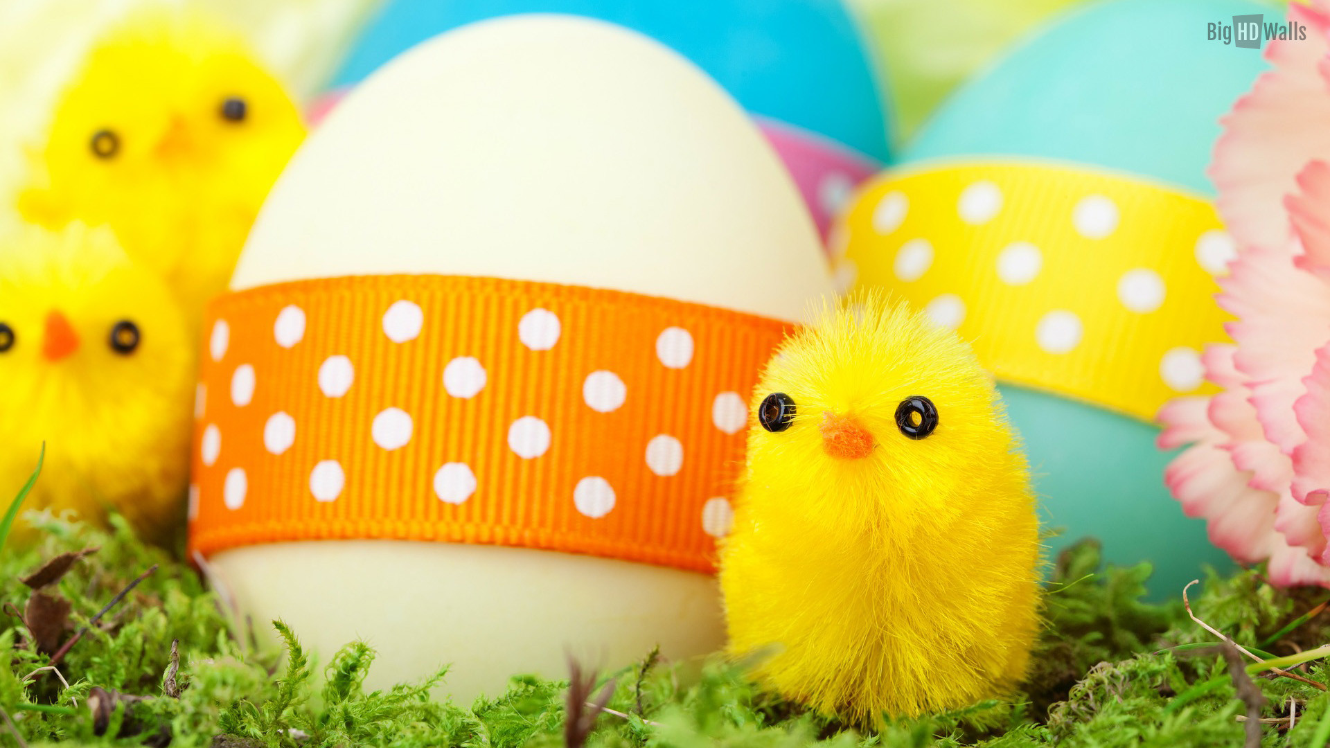Pulcino, Uova di Pasqua, Nastri a pois, Giallo, Full HD, wallpaper per PC
