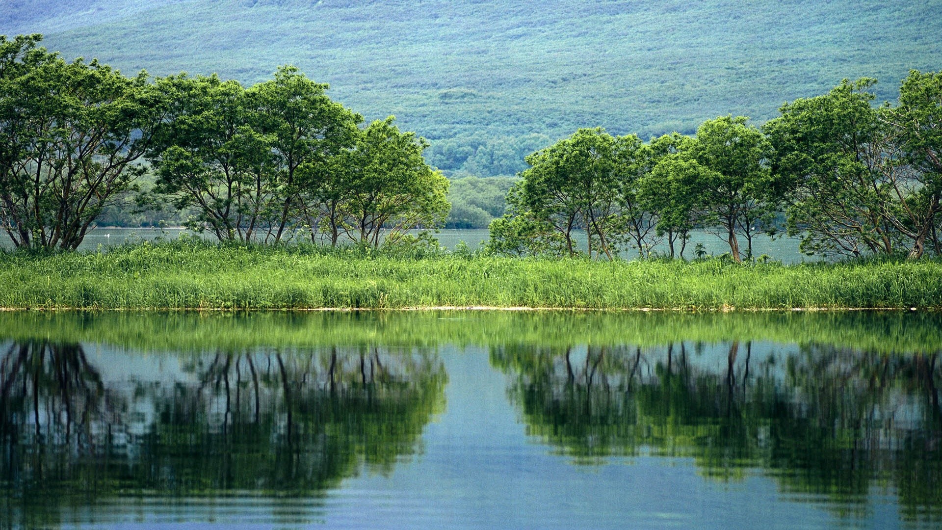 Alberi, Lago, Riflesso, Verde, Primavera, 16:9 Full HD, sfondo widescreen