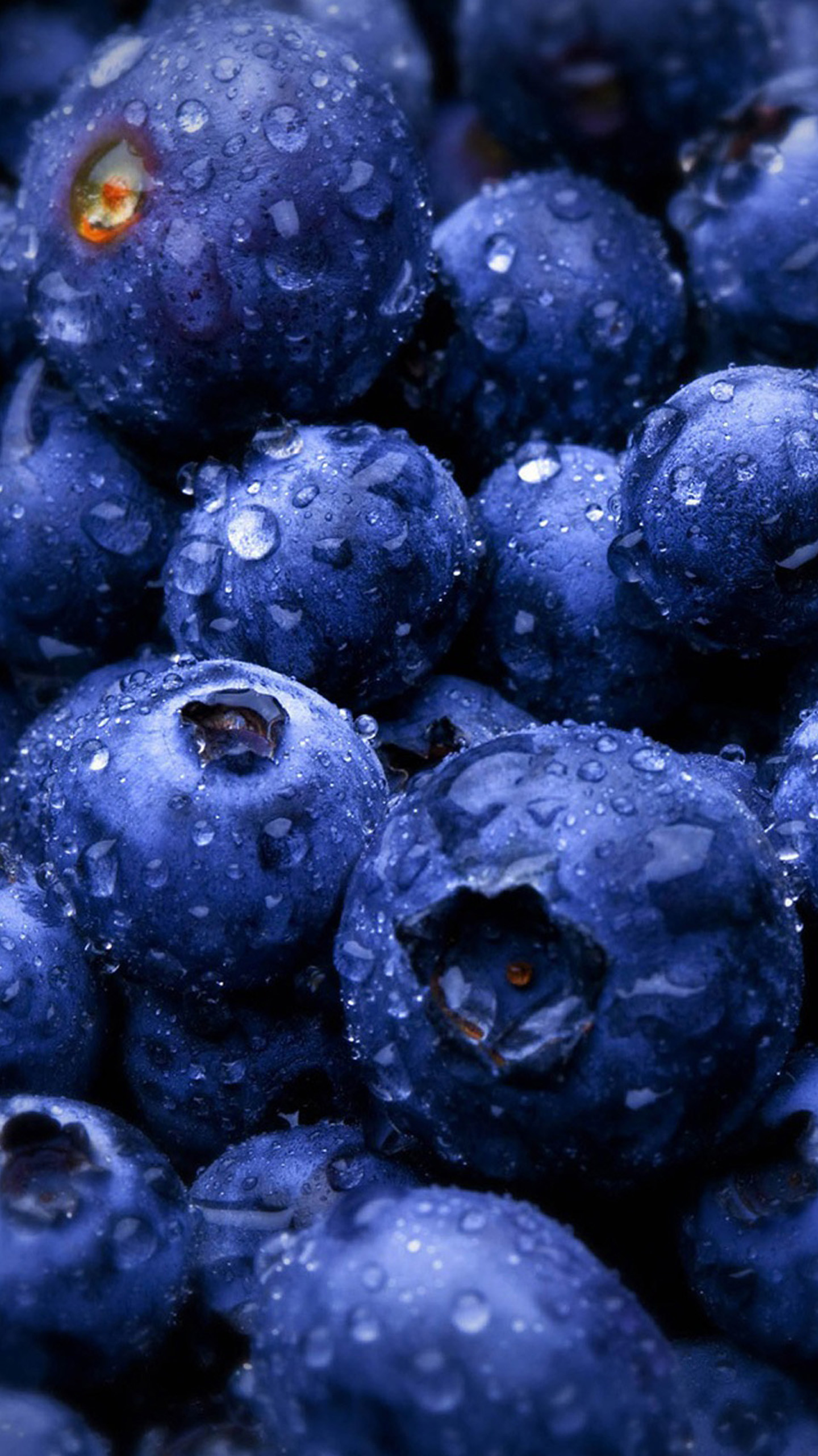 Mirtilli, Gocce d'acqua, Frutta, Macro, immagine di sfondo Galaxy S8
