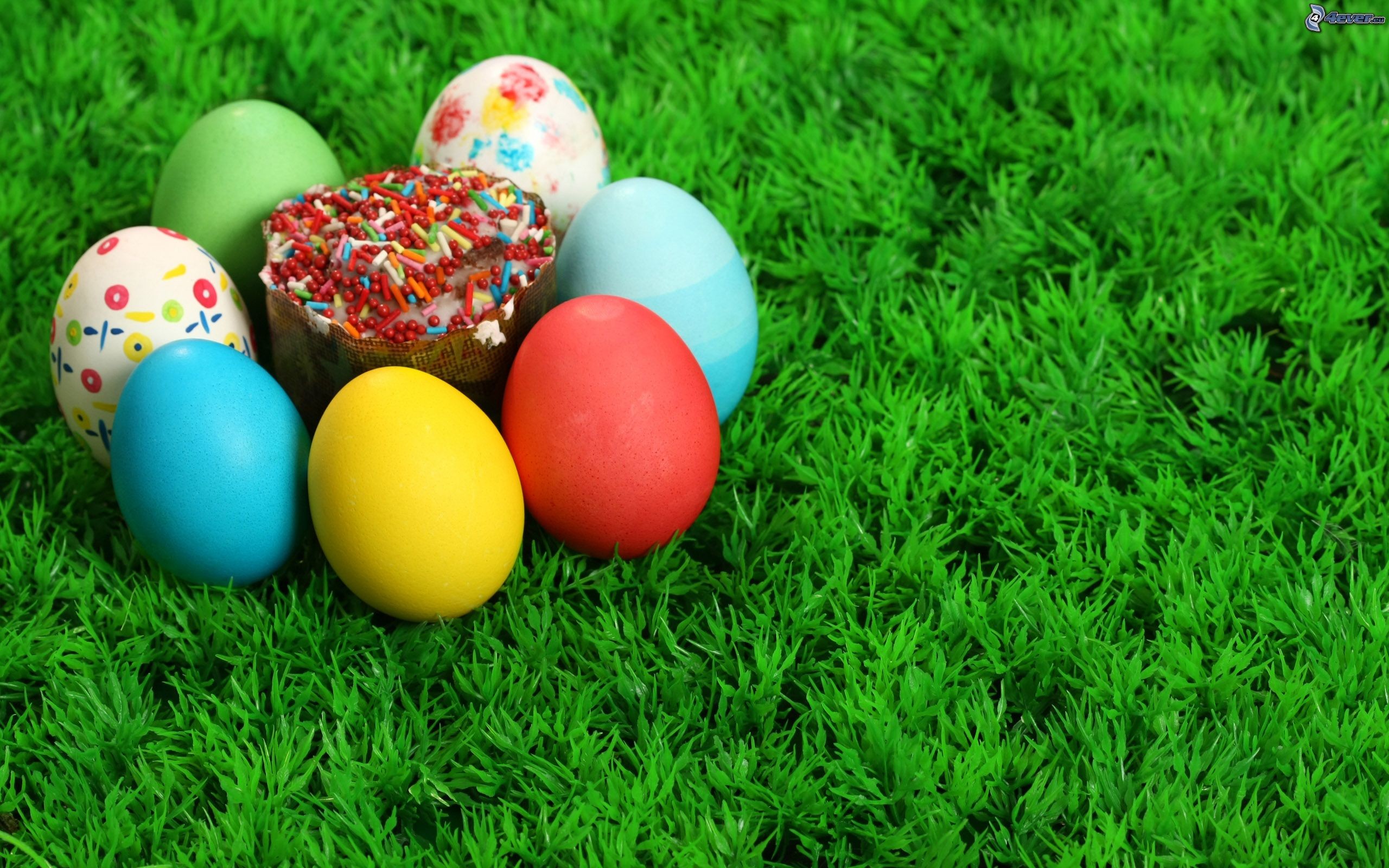 Uova di Pasqua, Colomba pasquale, Prato, Uova colorate, 2K, sfondo desktop