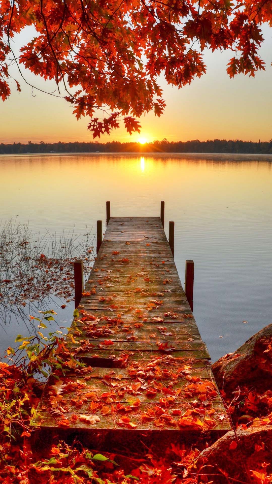 Pontile, Lago, Tramonto, Autunno, Foglie rosse, schermata di blocco del tablet