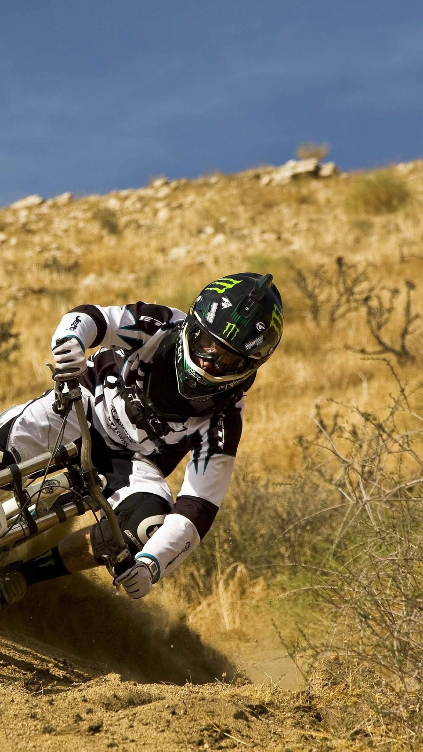 Mountain bike, Discesa, Prato secco, Casco integrale, QHD+, wallpaper per smartphone