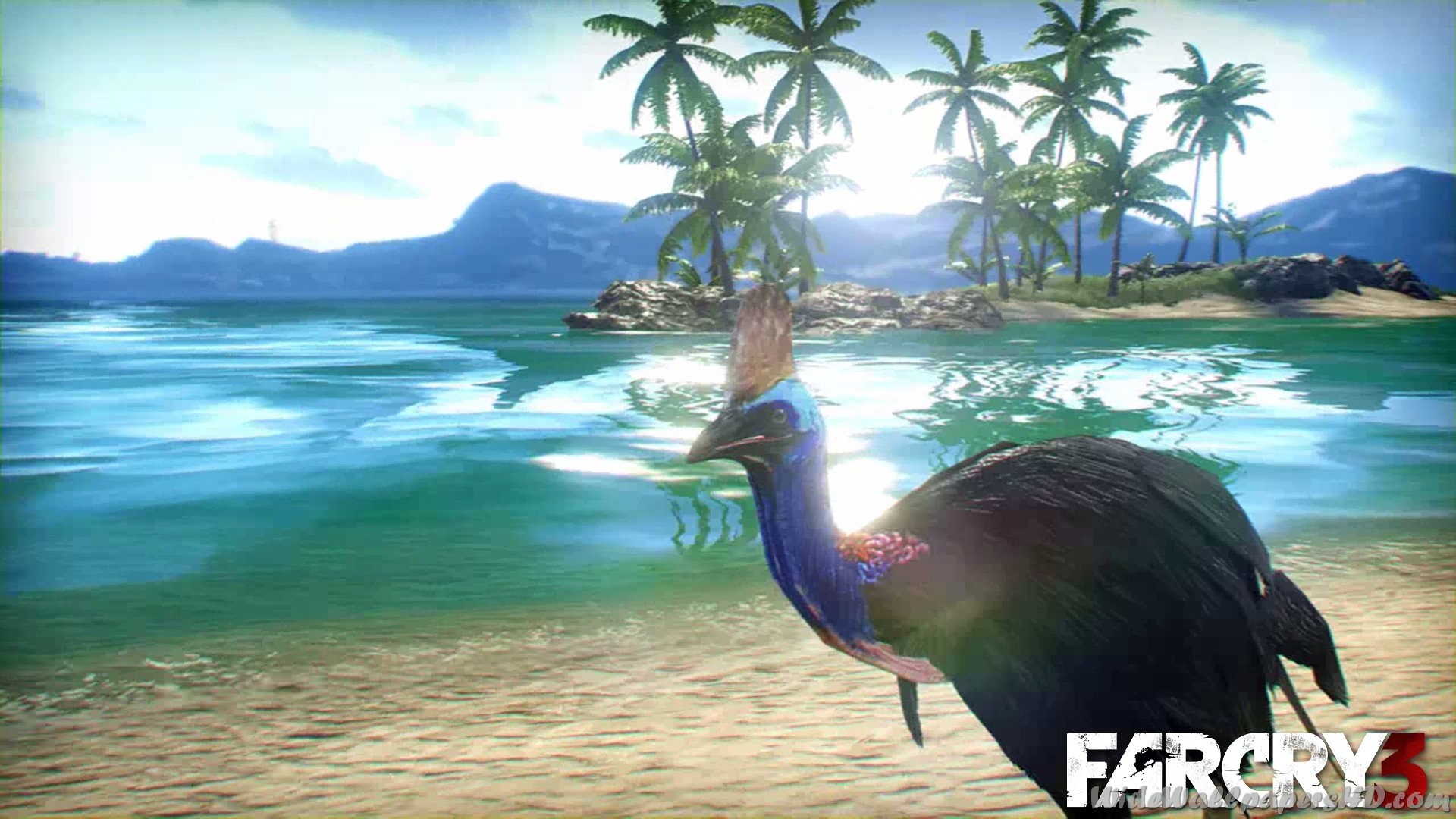 Casuario, Far Cry 3, Spiaggia, Palme, 1920x1080, wallpaper desktop