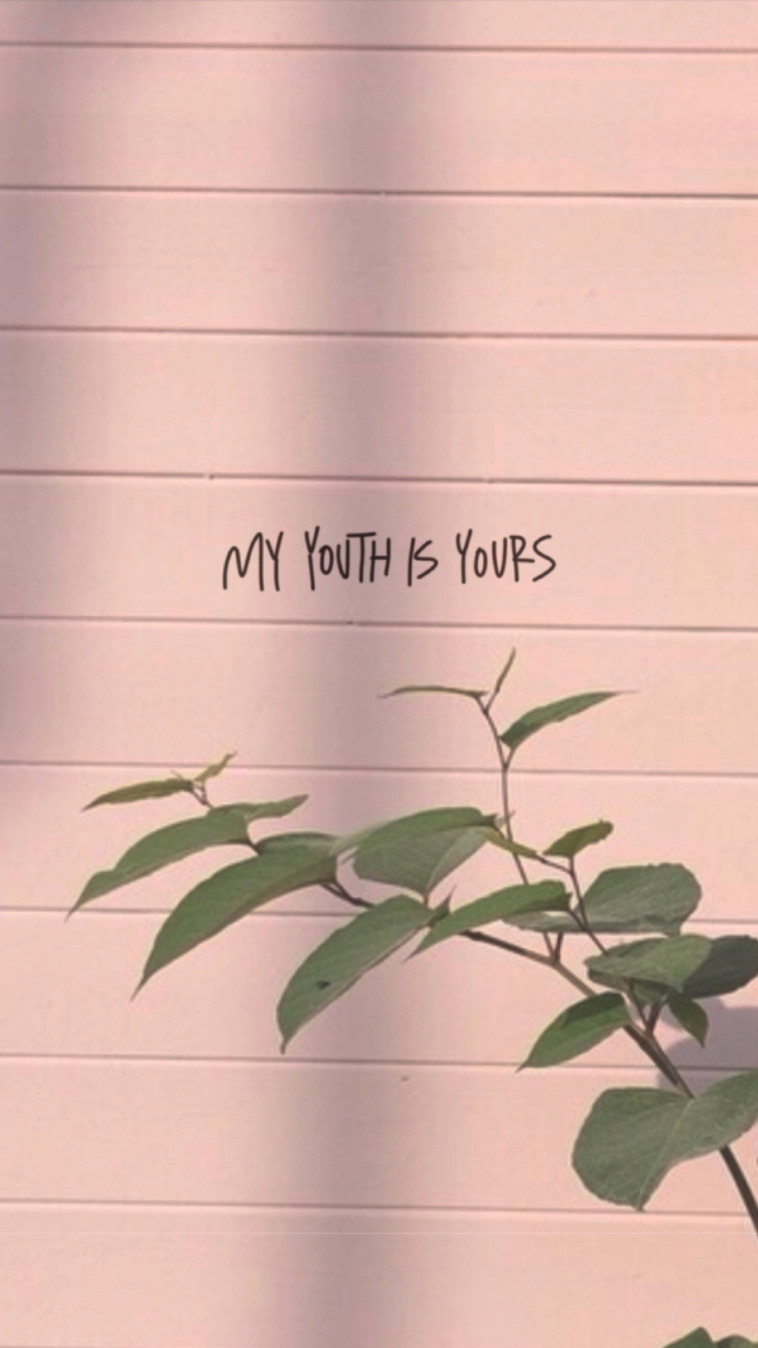 My Youth Is Yours, Pianta, Rosa, Minimalista, Full HD, sfondo per iPhone e Android