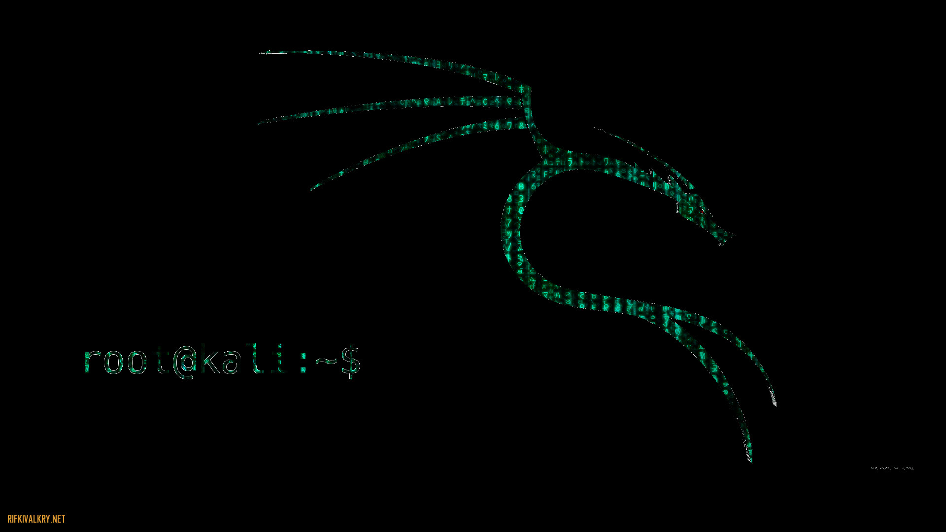 Kali Linux, Drago, Terminale, Codice verde, Full HD, sfondo desktop