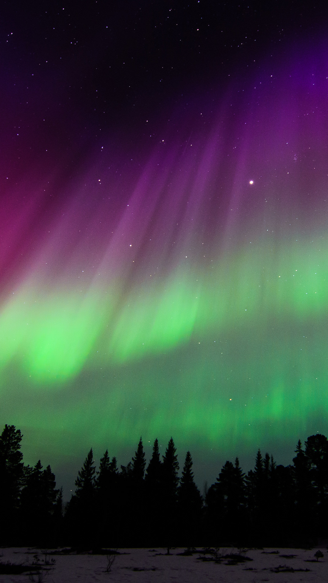 Aurora boreale, Foresta, Cielo notturno, Full HD, sfondo iOS 10