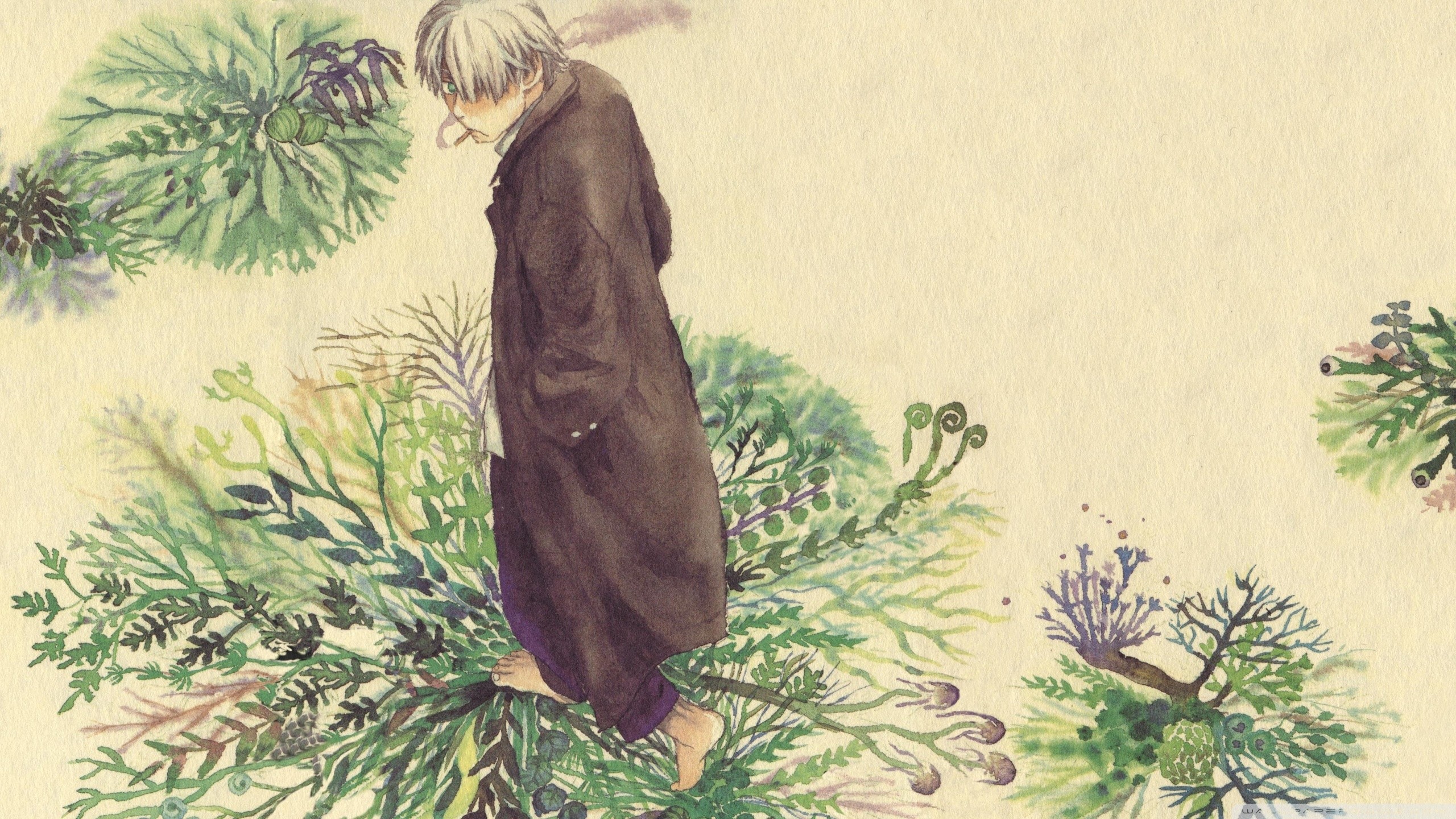 Ginko, Mushishi, Piante, Acquerello, Anime, 2K, sfondo per PC