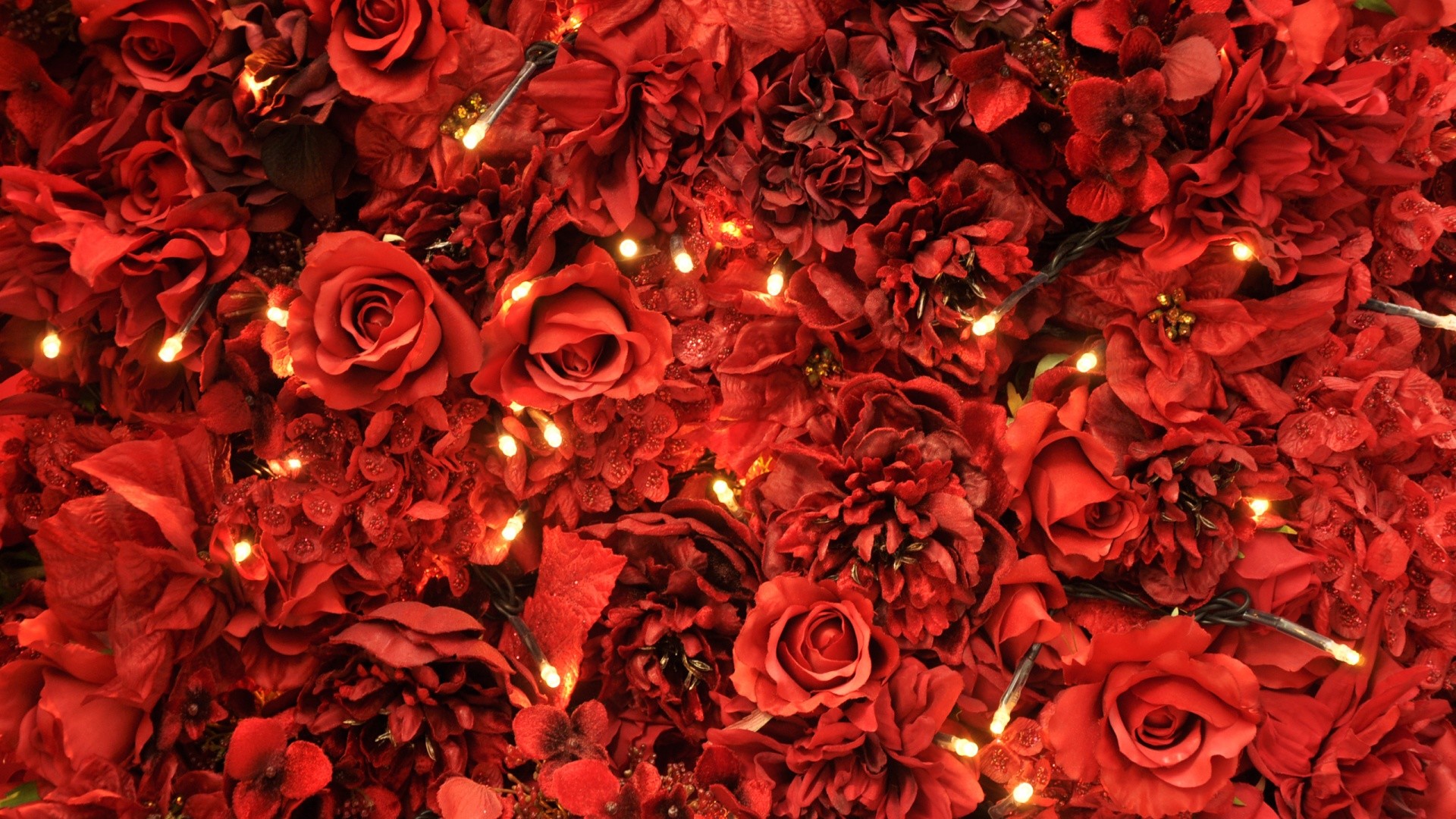Rose rosse, Parete di fiori, Lucine, Decorazione, 16:9 Full HD, sfondo widescreen