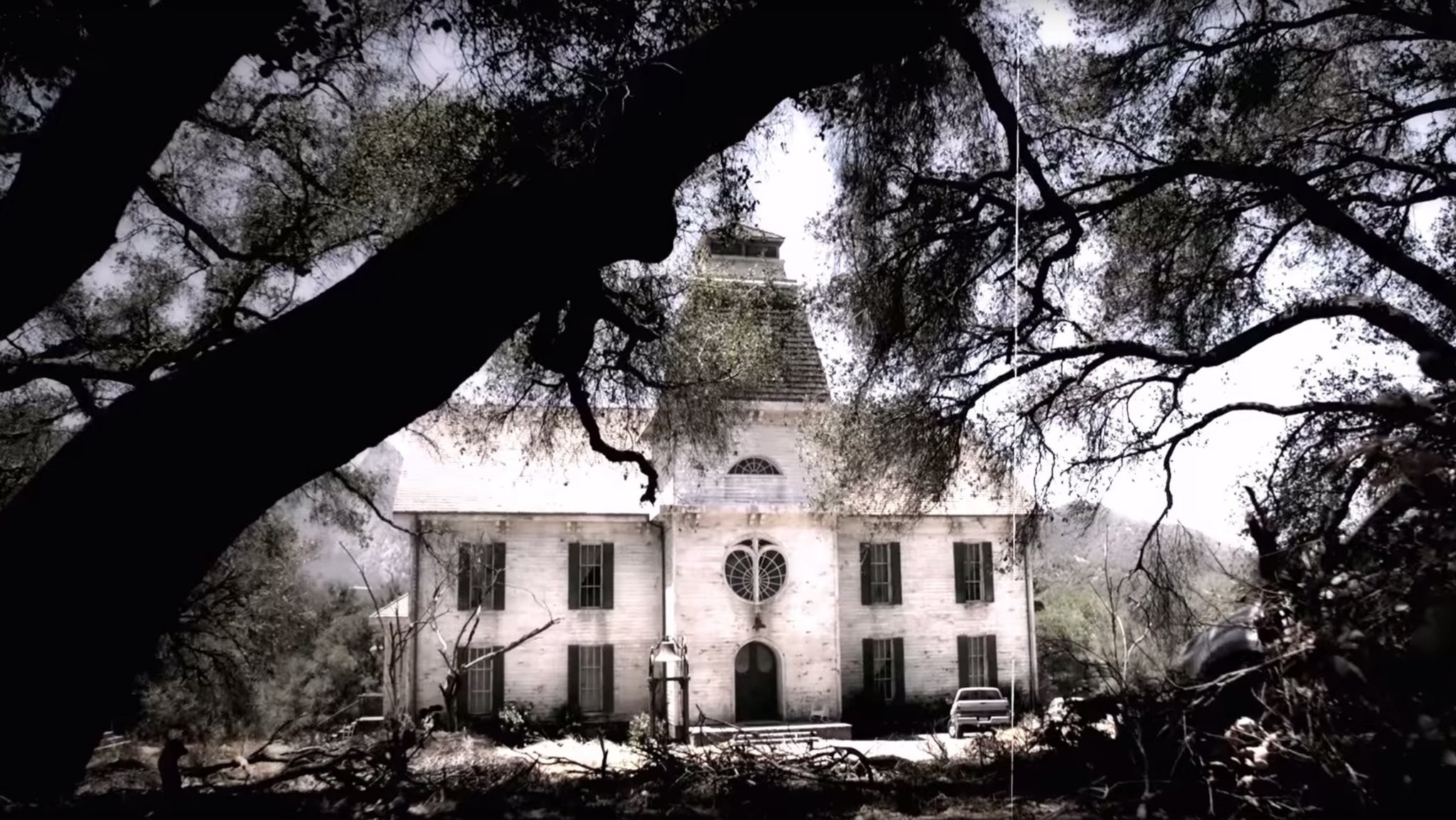 American Horror Story: Roanoke, Casa infestata, Albero, Bianco e nero, sfondo Full HD per computer