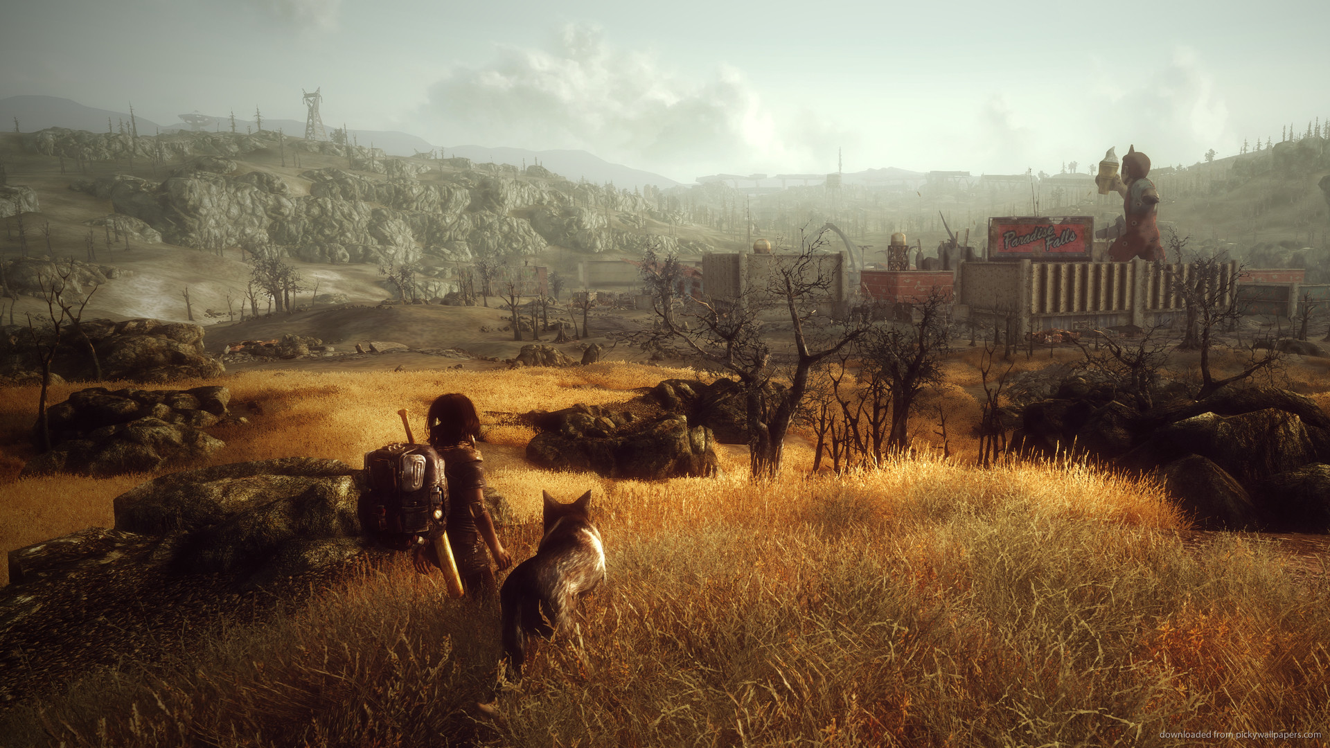 Fallout 4, Dogmeat, Prateria, Zona contaminata, Full HD 1080p, sfondo desktop