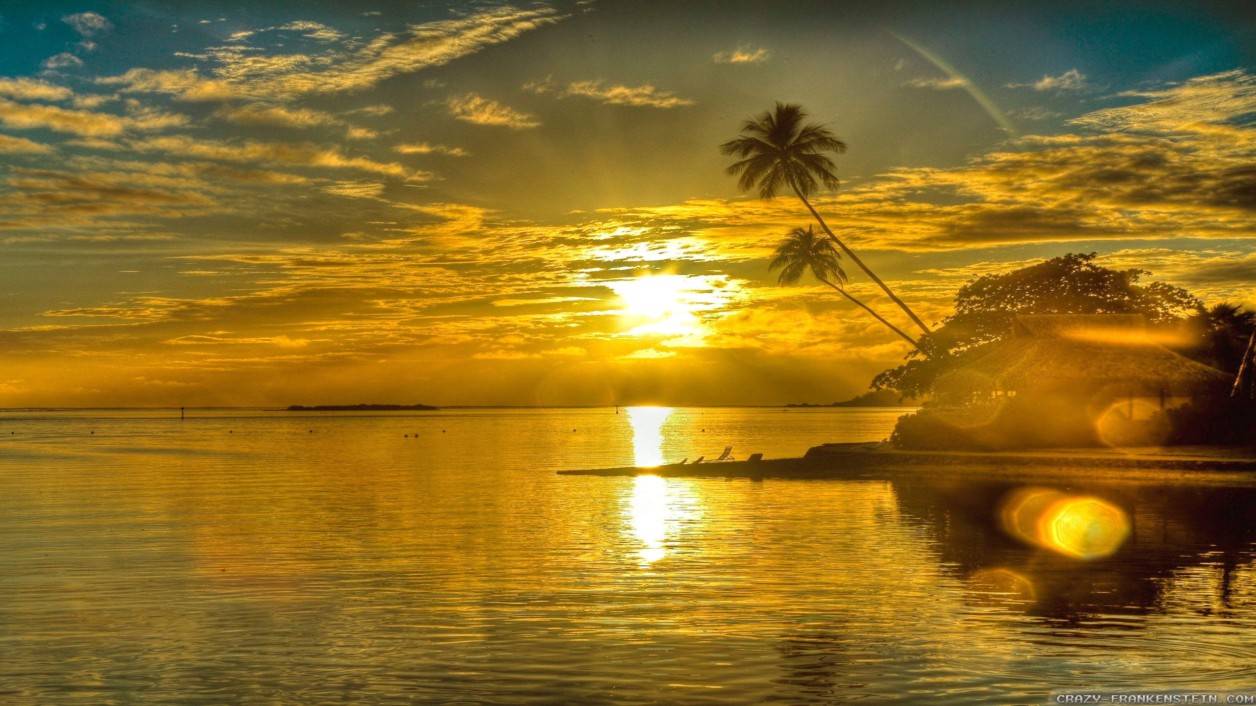Sole, Tramonto, Palme, Tropicale, 2560x1440, sfondo per PC