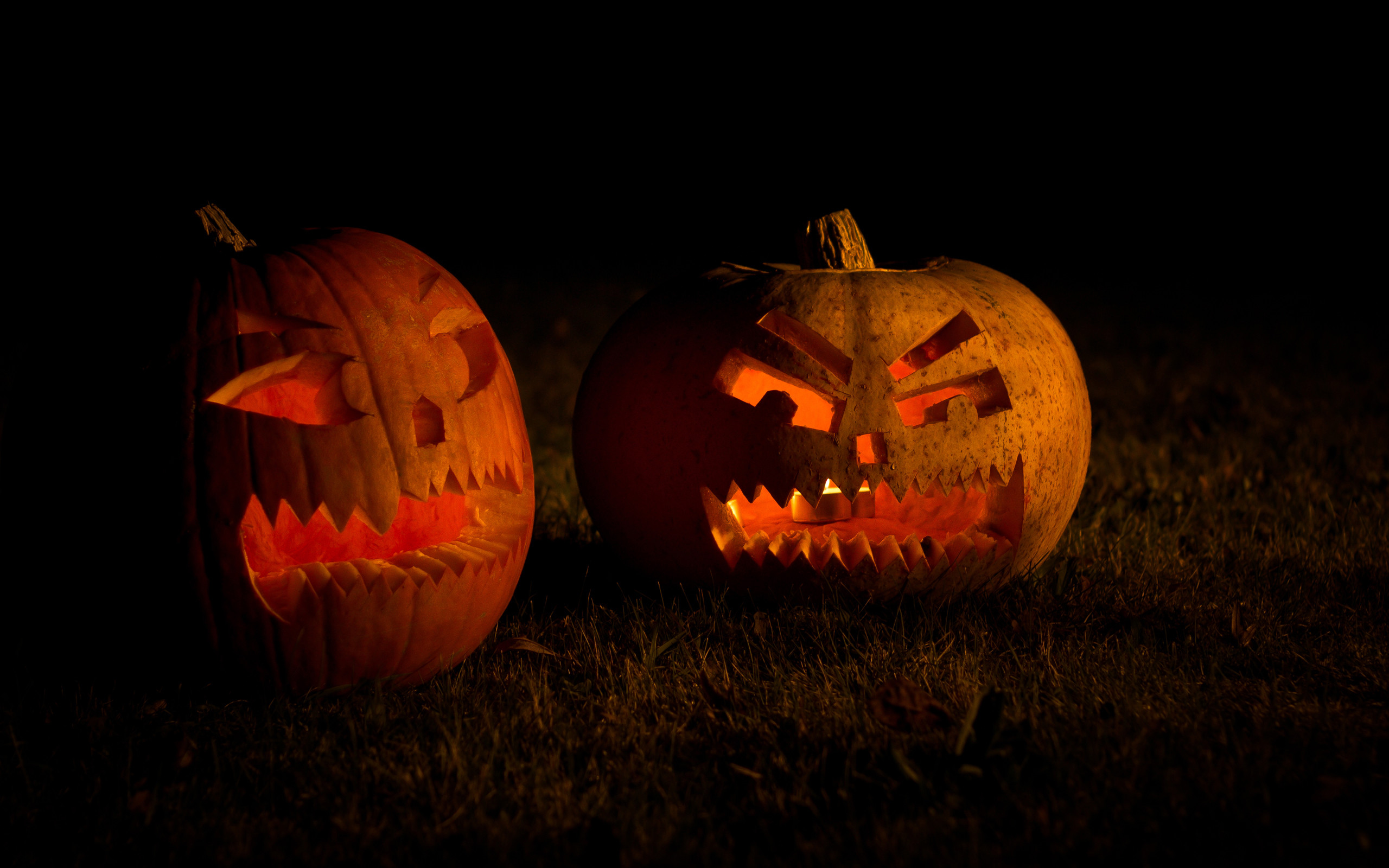Jack-o'-lantern, Notte, Erba, 2K, wallpaper desktop