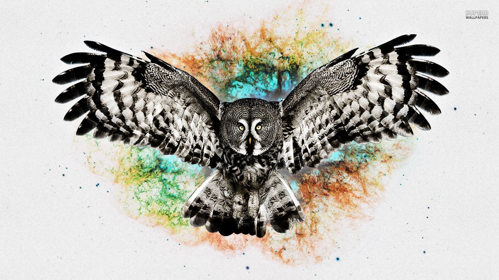 Allocco di Lapponia, Ali spiegate, Acquerello, Arte digitale, 16:9 Full HD, sfondo widescreen