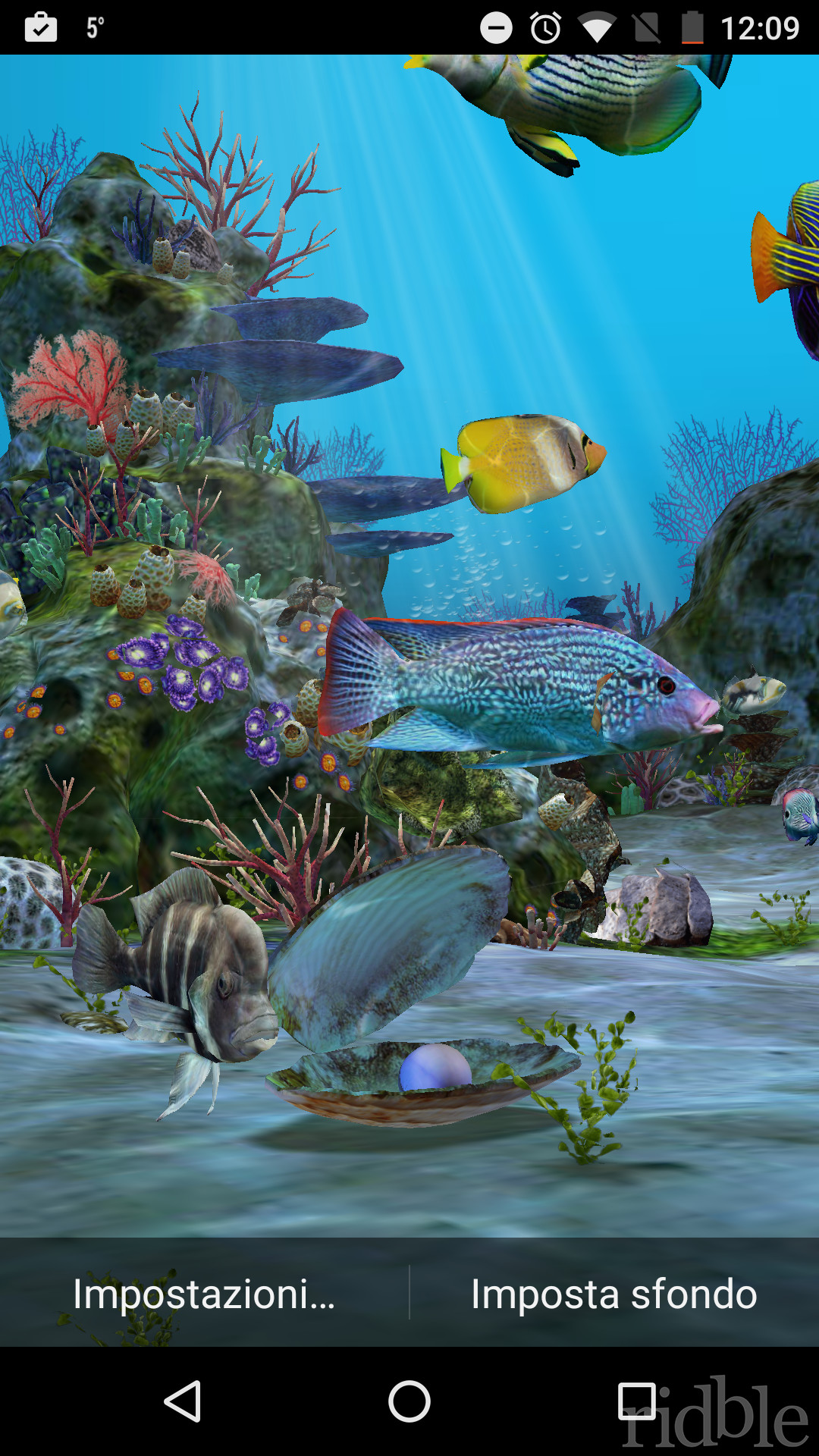 Sfondo animato, Pesci tropicali, Coralli, Screenshot, wallpaper per iPhone e Android