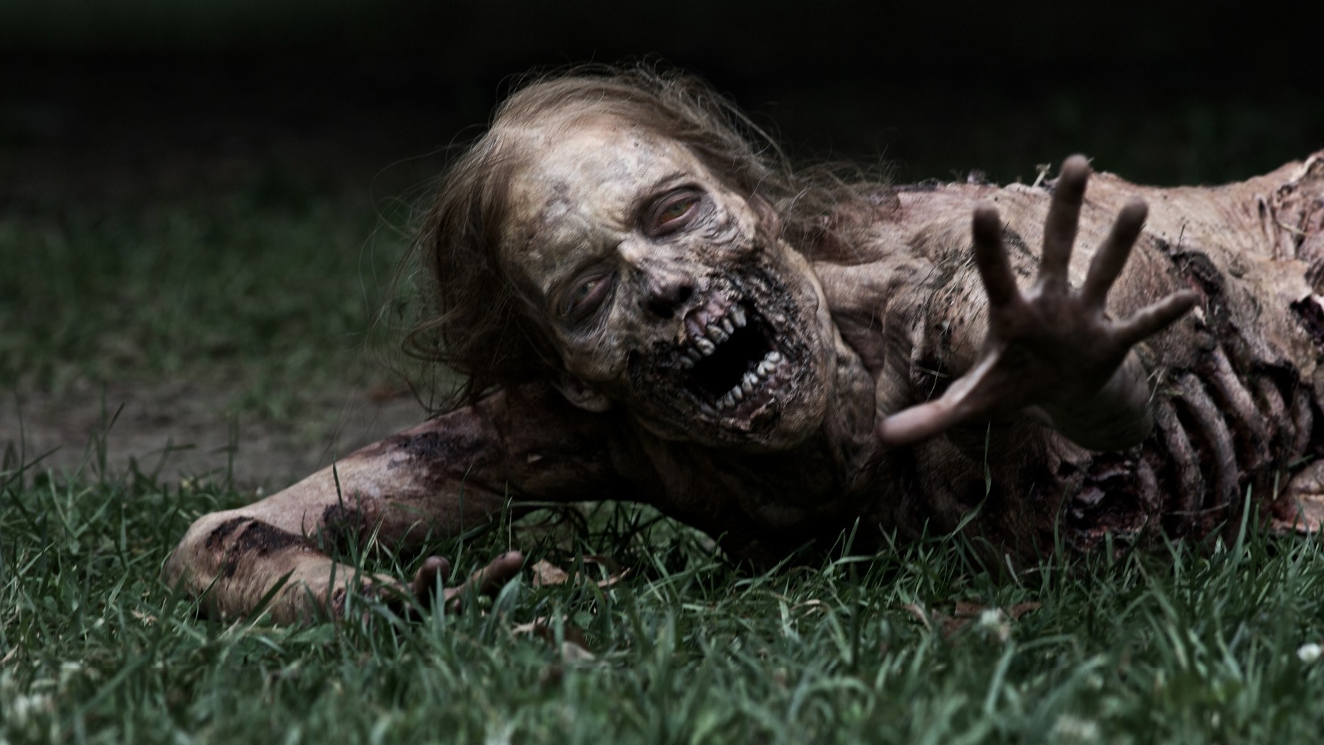 The Walking Dead, Bicycle Girl, Zombi, Erba, Horror, Full HD, sfondo per PC