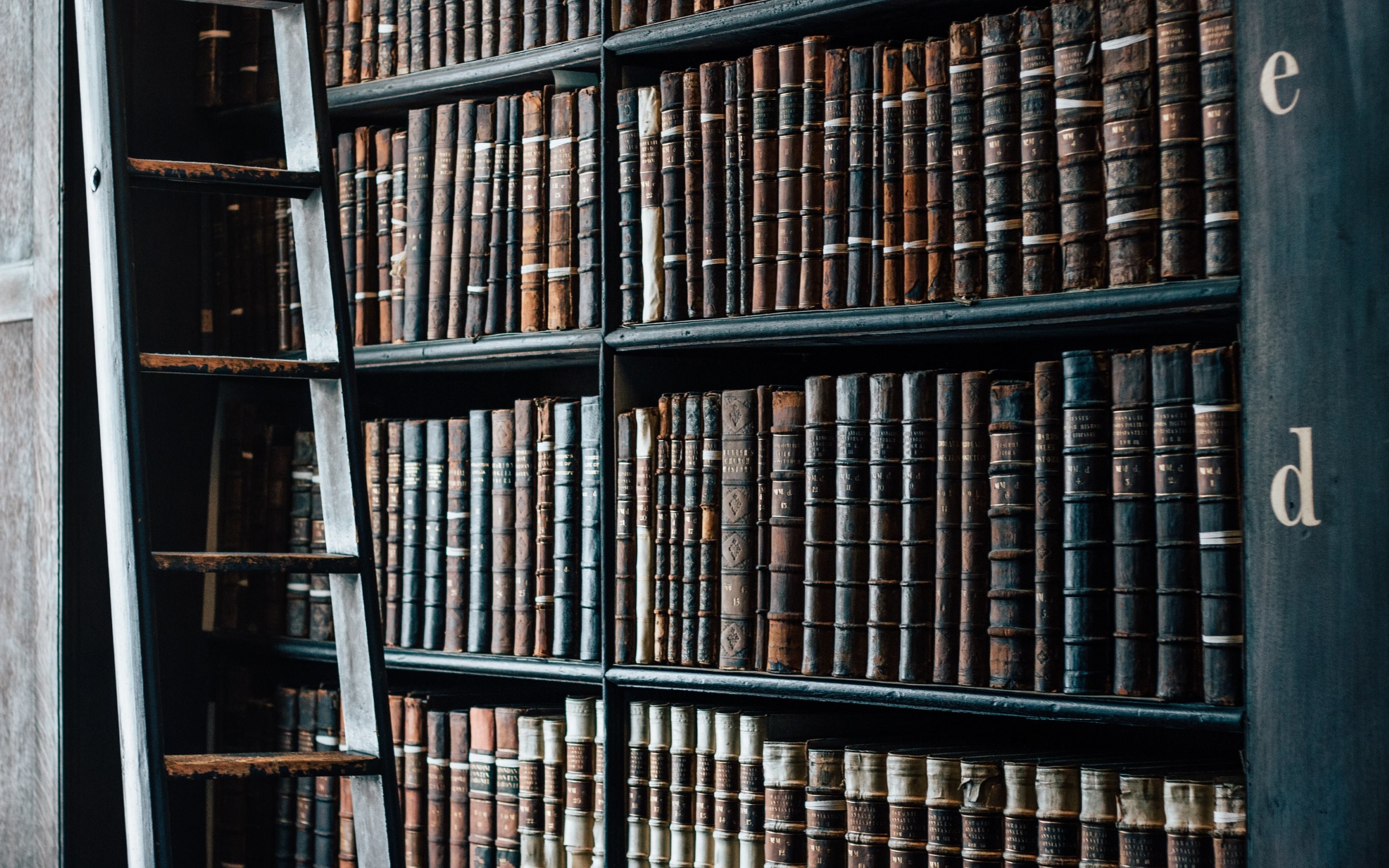 Scaffali, Scala a pioli, Libri antichi, Biblioteca, 2K, sfondo Windows 11