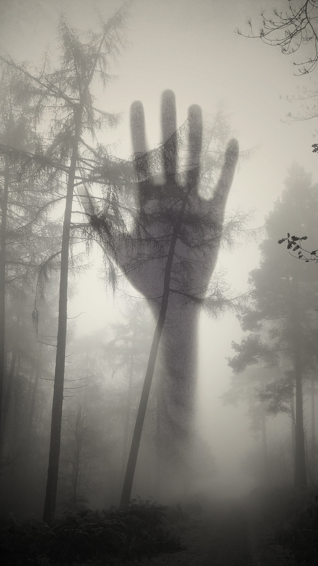 Mano gigante, Foresta, Nebbia, sfondo per iPhone e Android