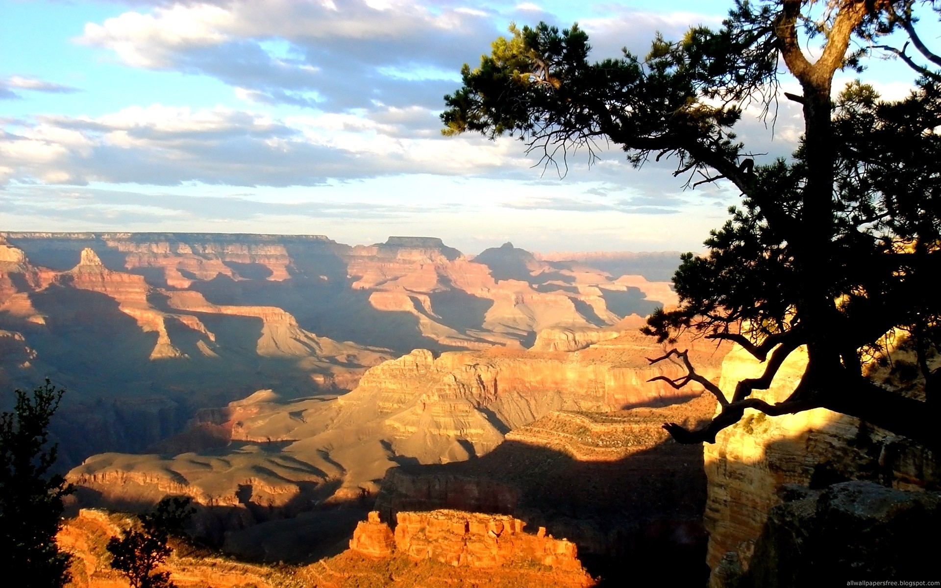 Grand Canyon, Arizona, Albero, Tramonto, Full HD, sfondo per desktop