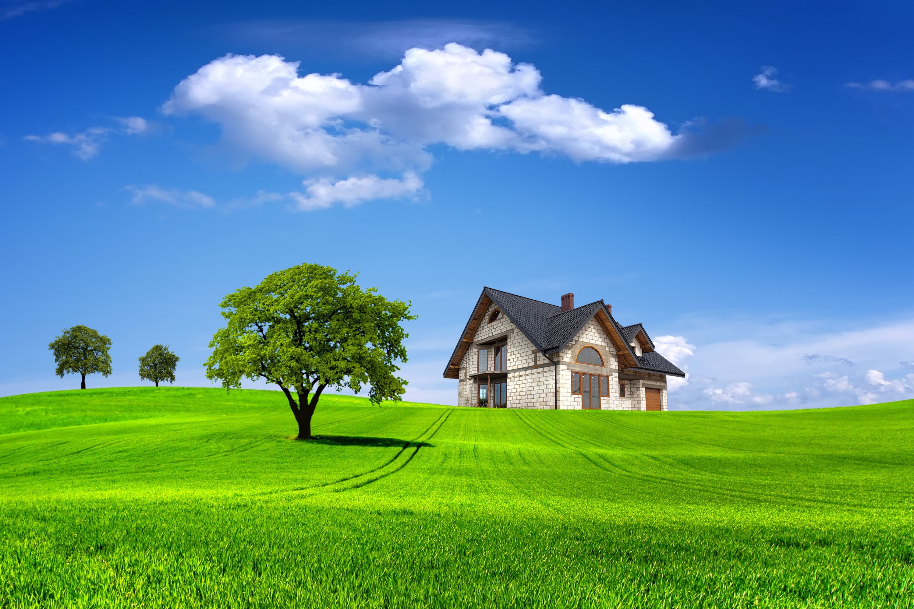 Casa, Prato, Albero, Cielo azzurro, 2K, sfondo Windows 11