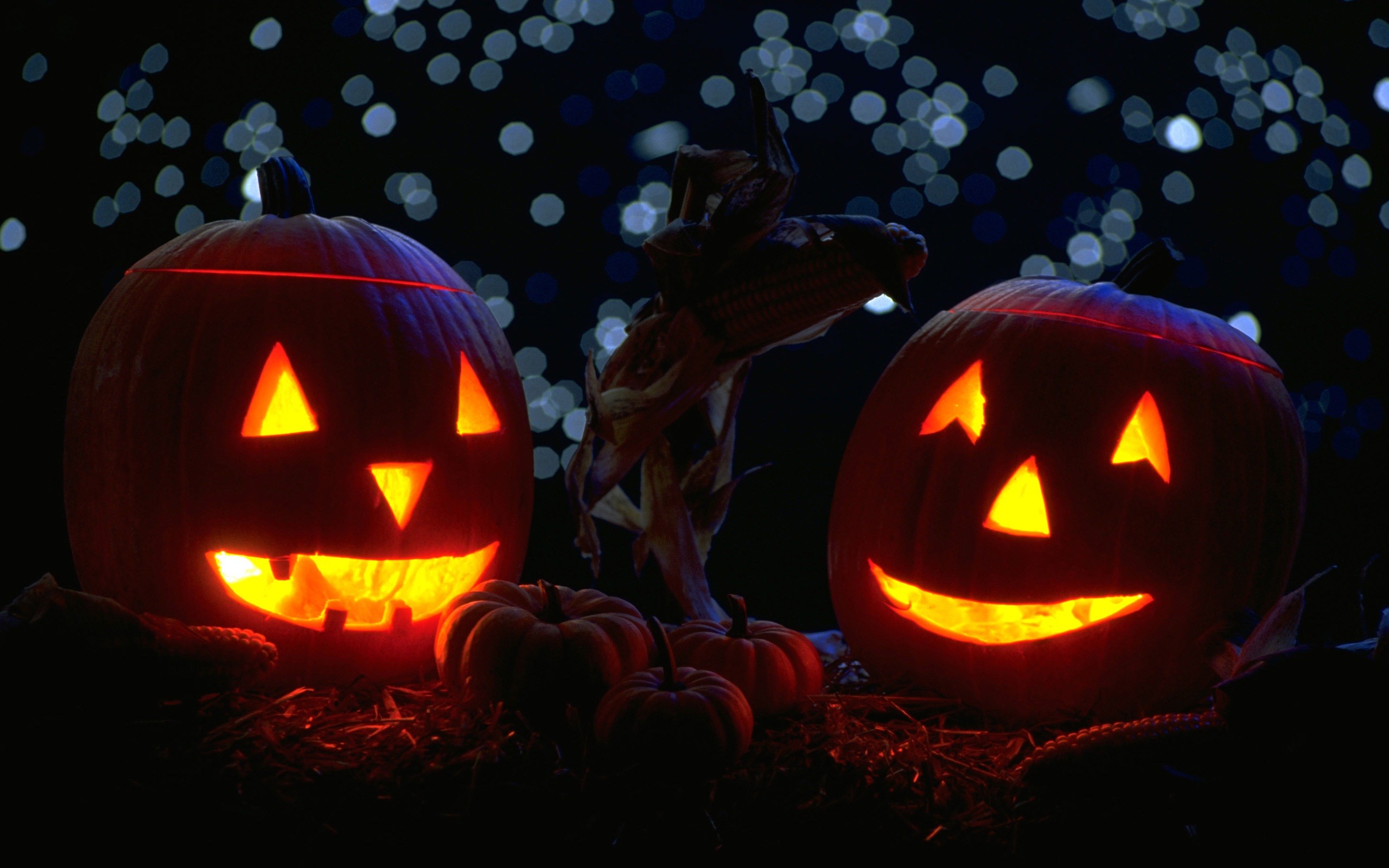 Jack-o'-lantern, Zucche intagliate, Bokeh, Notte, Halloween, 2K 1600p, sfondo desktop