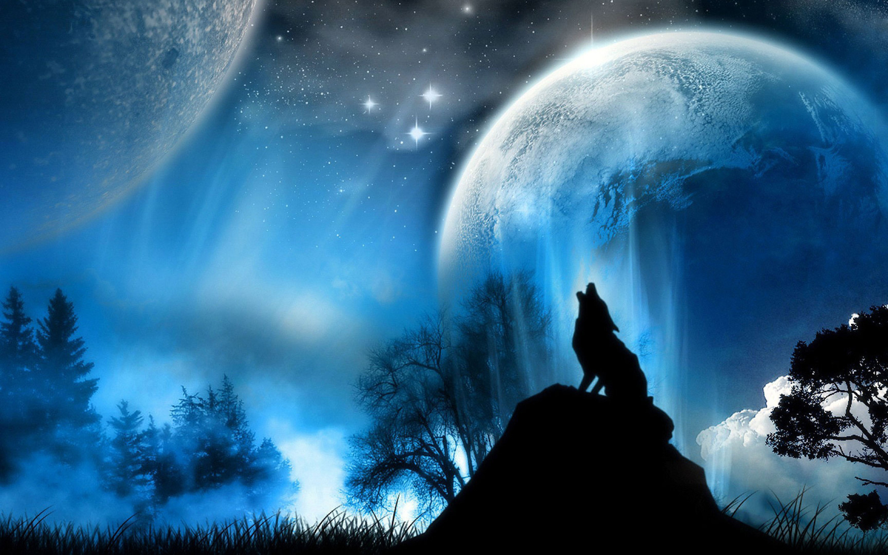 Lupo che ulula, Luna, Fantasy, Notte, Blu, sfondo per tablet