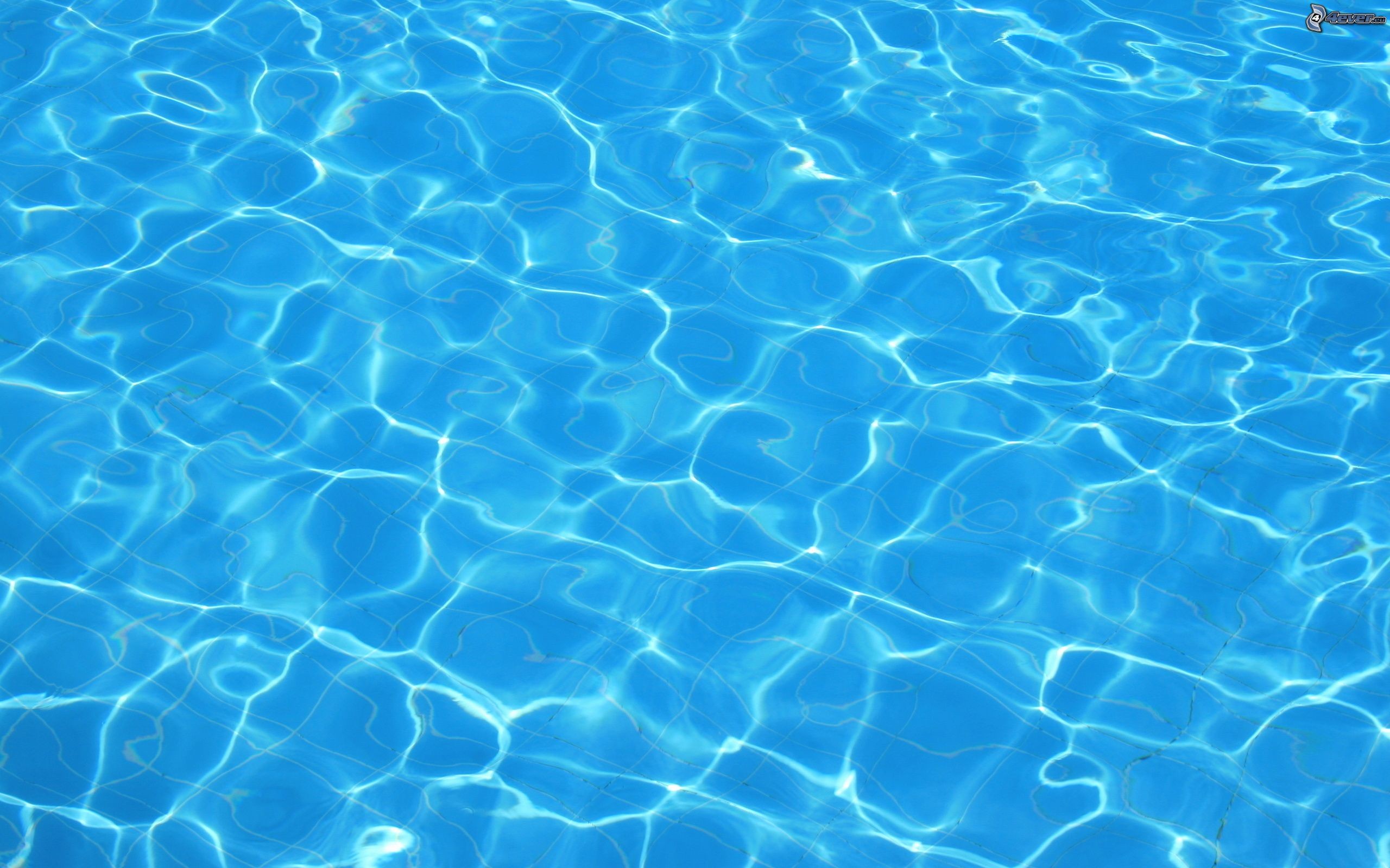 Piscina, Increspature, Azzurro, 2K, sfondo Windows 11