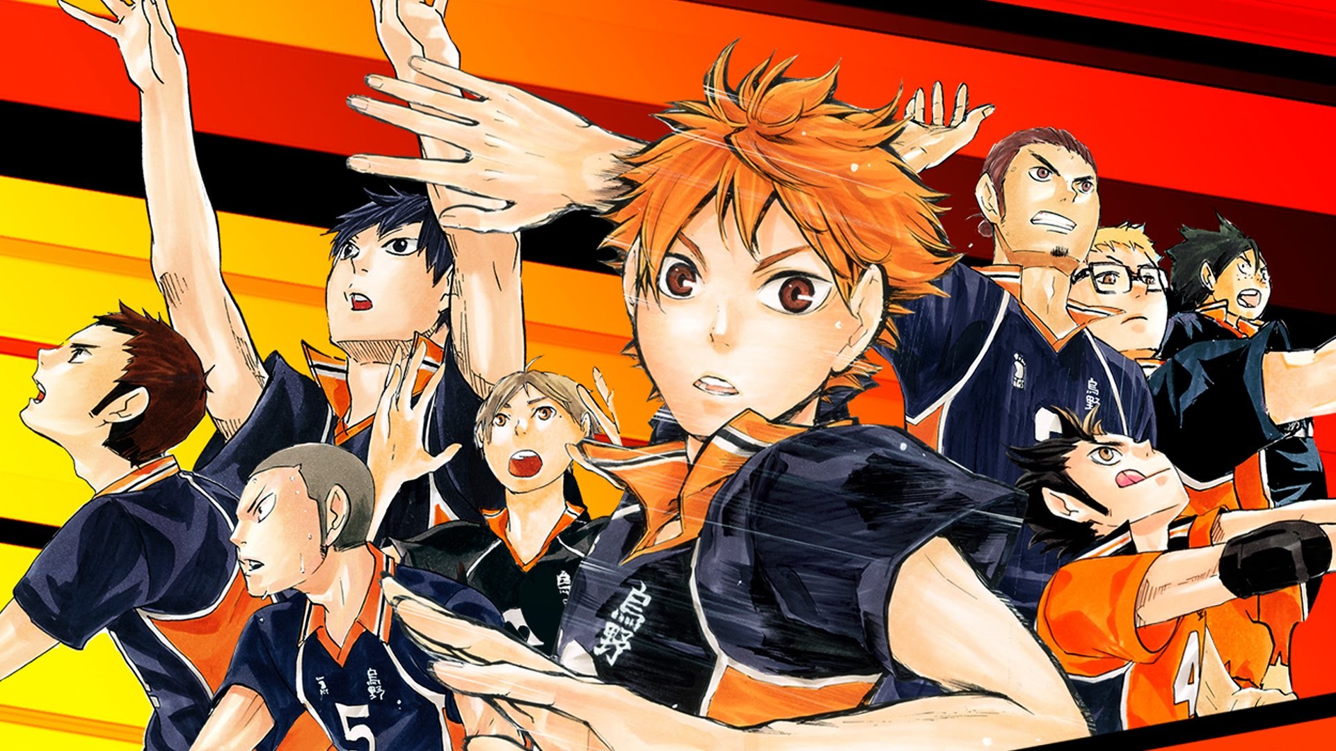 Karasuno, Shoyo Hinata, Haikyu!!, Squadra, Full HD, sfondo per PC e portatile