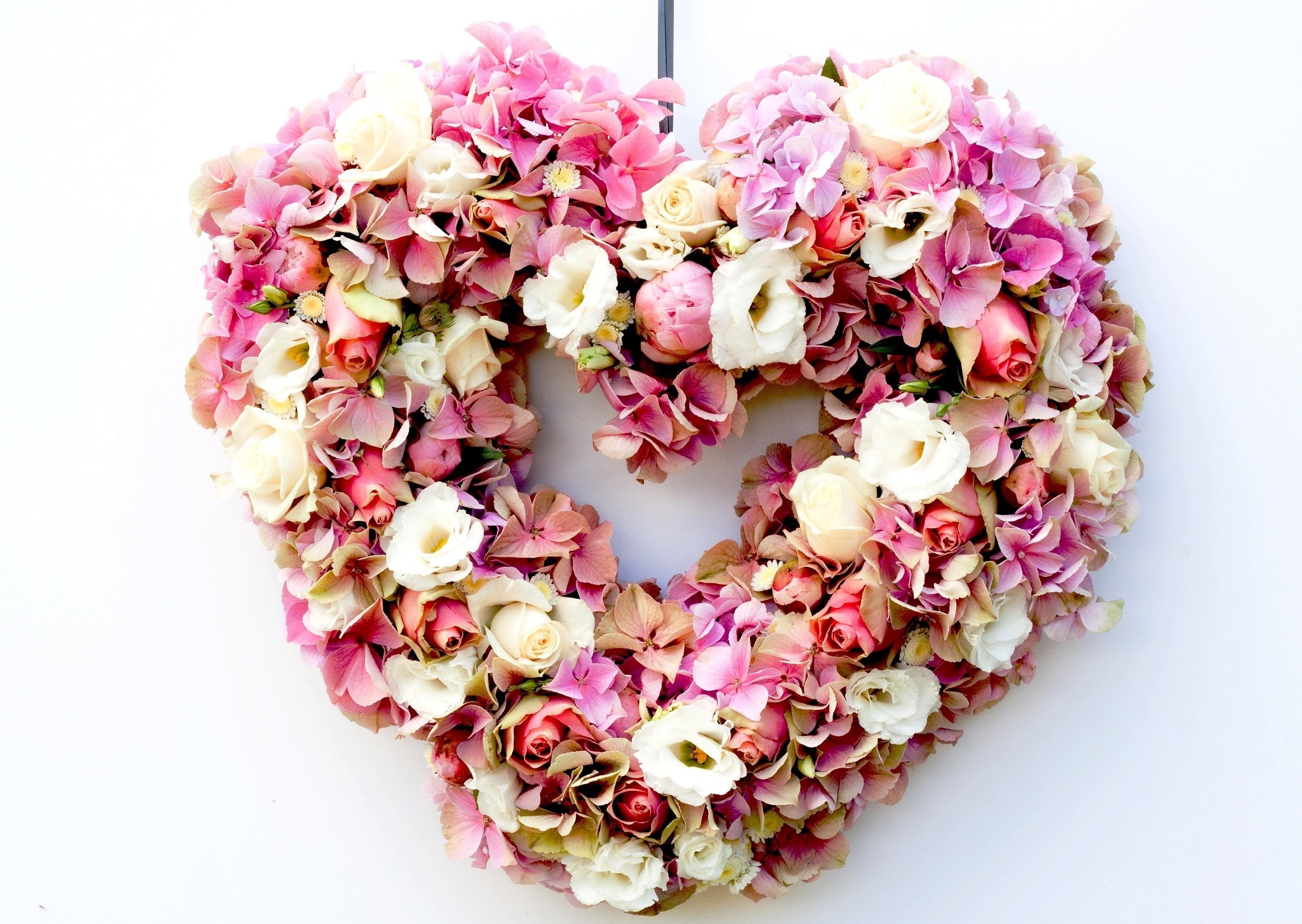 Cuore di fiori, Ortensie, Rose, Sfondo bianco, 2K, wallpaper per portatile