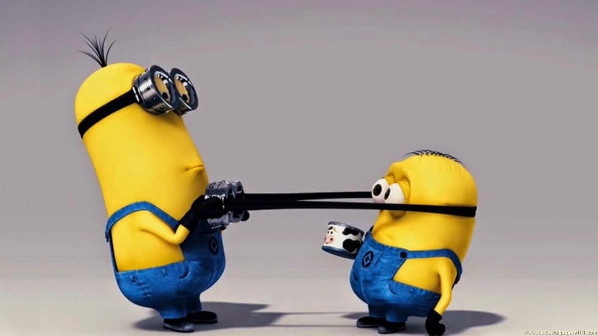 Minion, Occhialoni, Umorismo, Sfondo grigio, wallpaper Android
