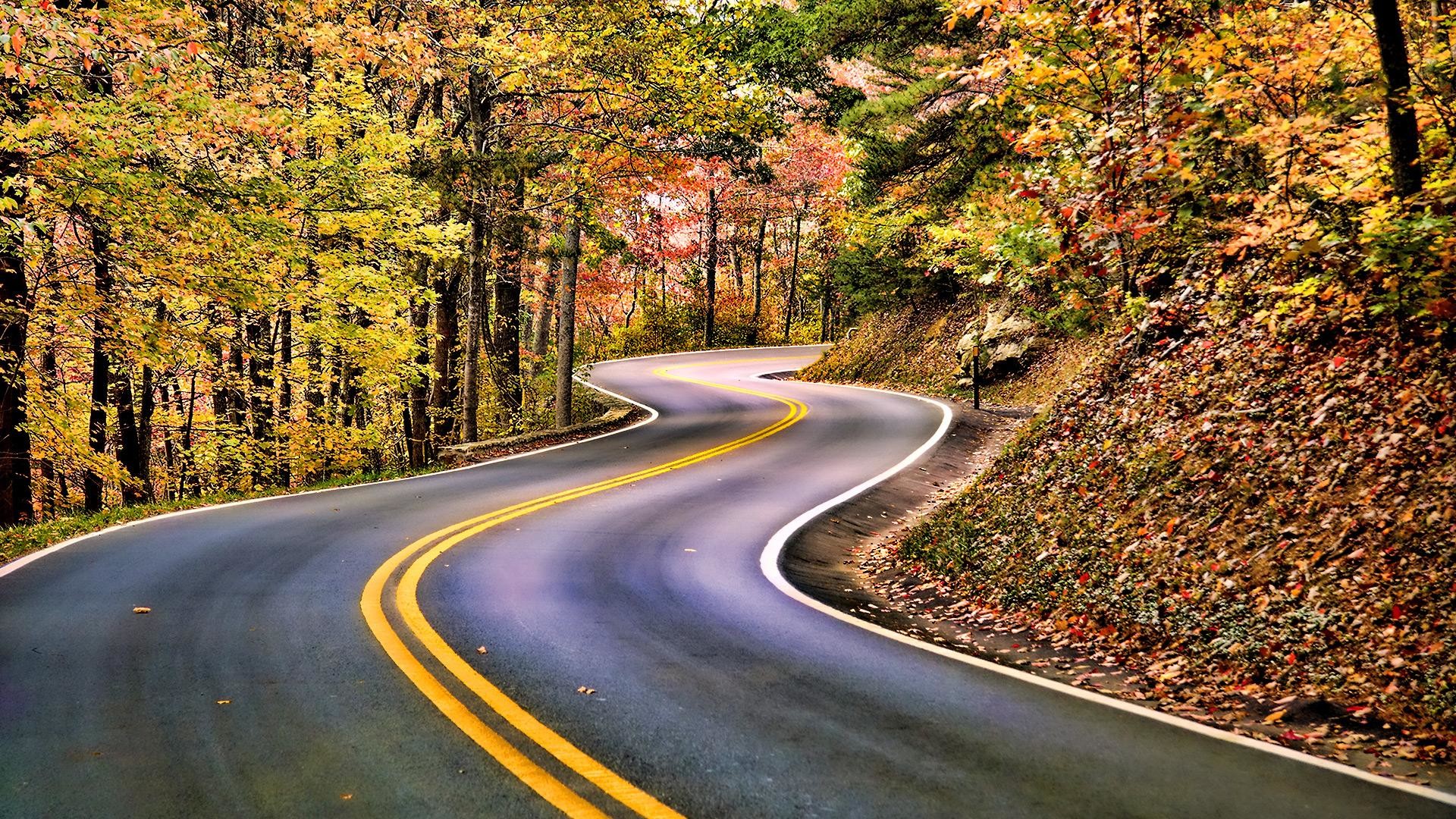 Strada di montagna, Autunno, Curve, Foresta, sfondo PC