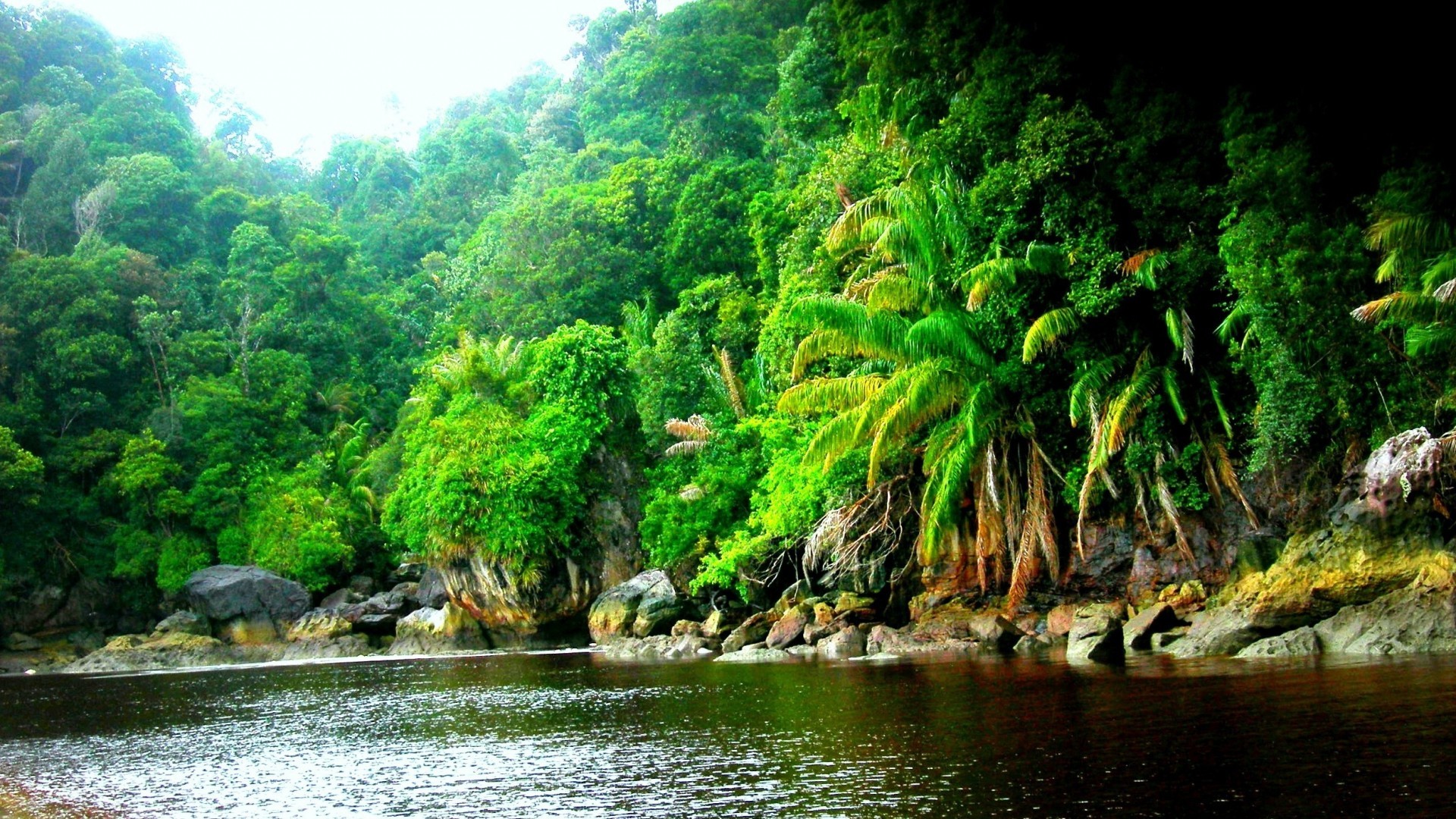 Giungla, Fiume, Rocce, Vegetazione tropicale, 16:9 Full HD, sfondo widescreen