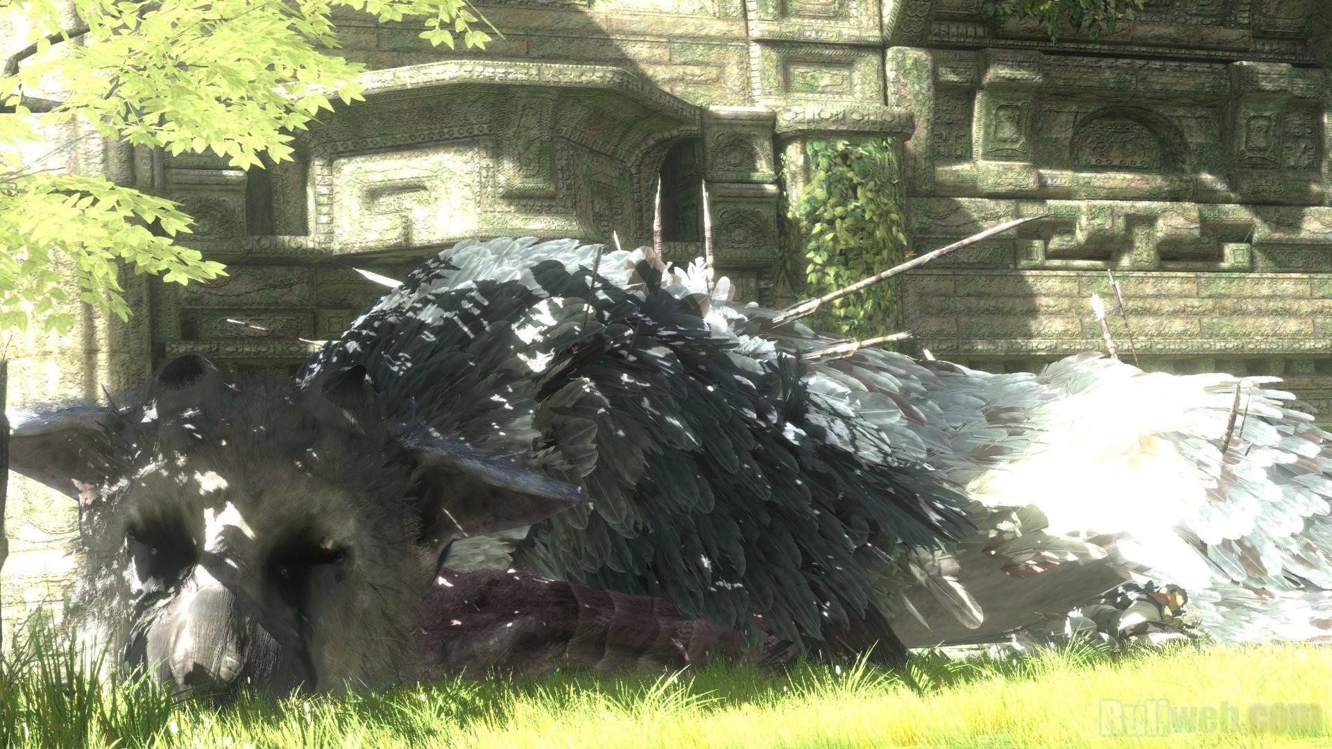 Trico, The Last Guardian, Rovine, Erba, Full HD 1080p, sfondo desktop
