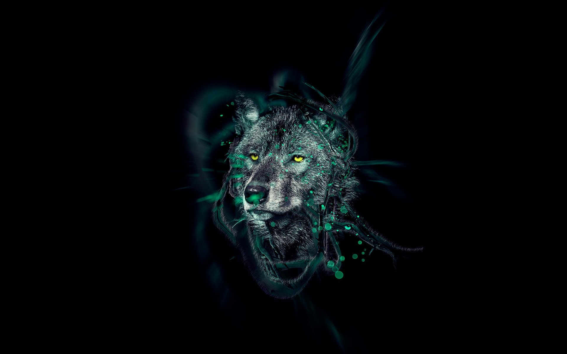 Lupo, Arte digitale, Sfondo nero, Full HD, wallpaper per PC