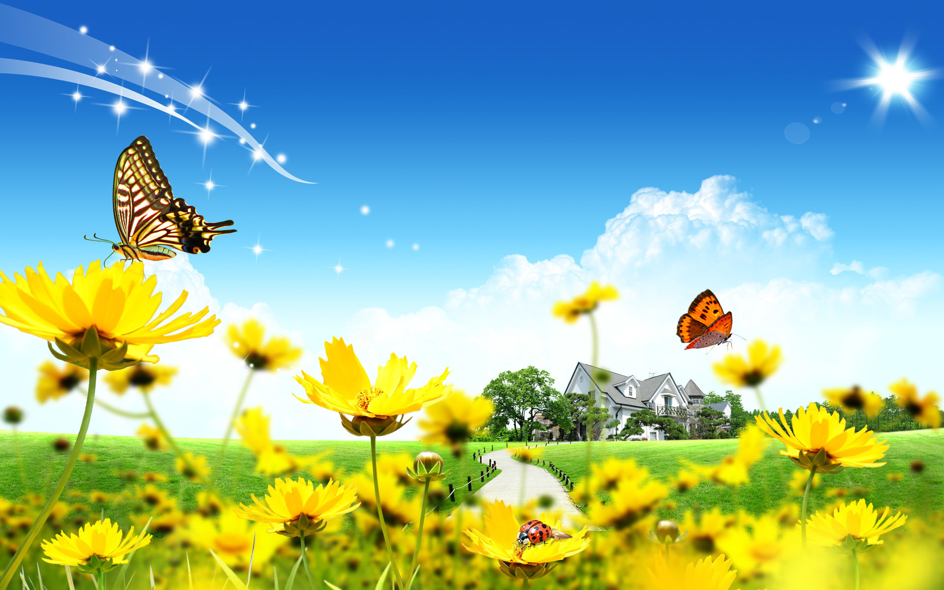 Farfalle, Fiori gialli, Prato, Cielo azzurro, 1920x1200, sfondo per PC