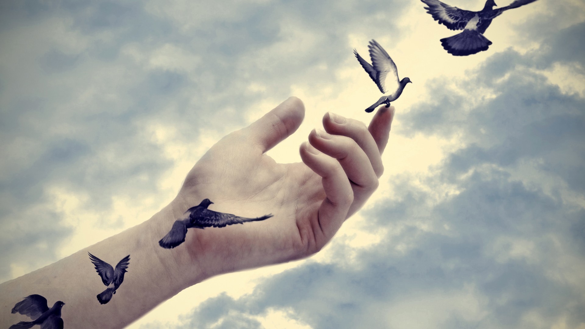 Colombe, Mano, Tatuaggio, Volo, Cielo nuvoloso, Full HD 1080p, sfondo desktop