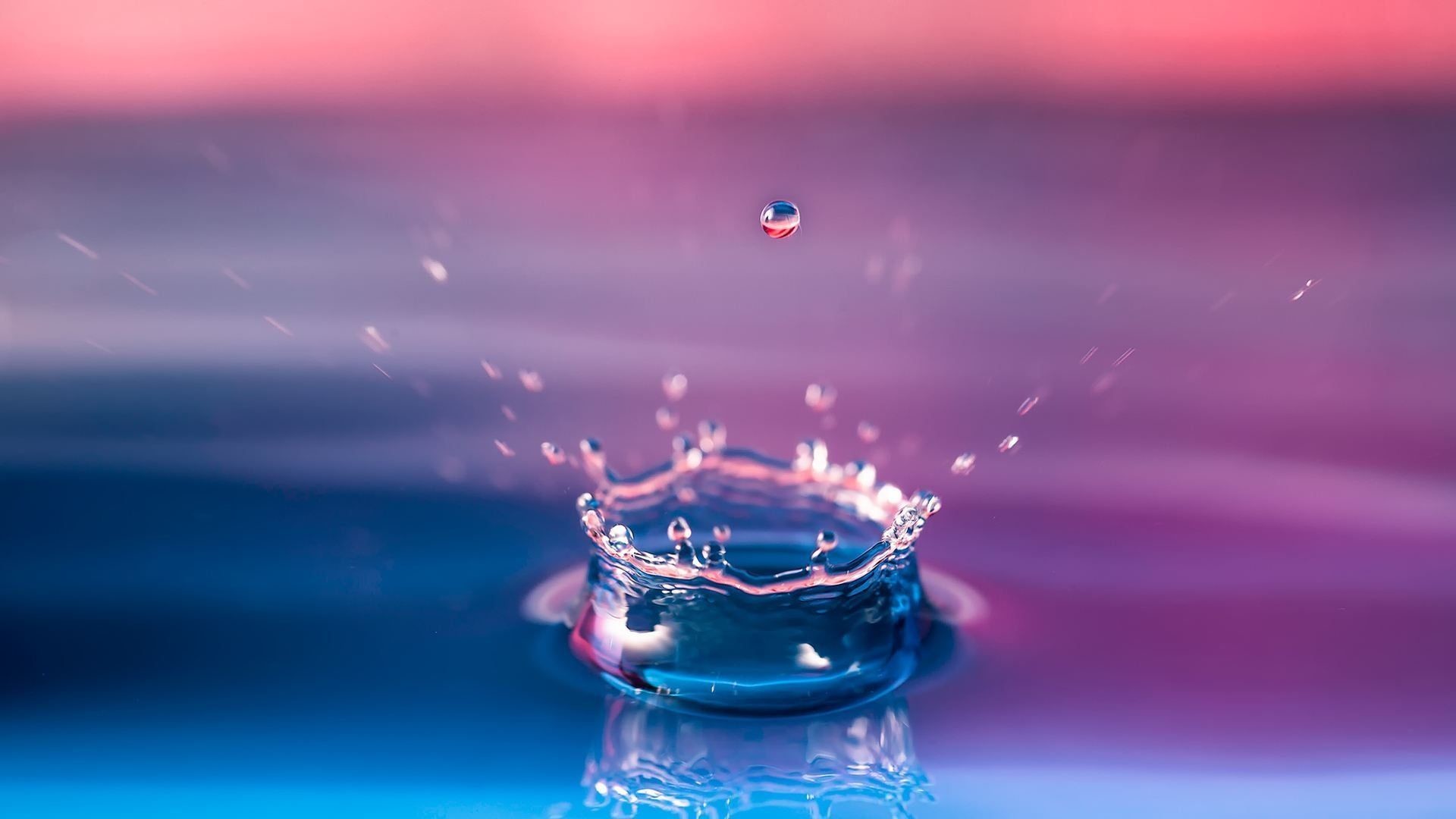 Goccia d'acqua, Corona di spruzzi, Macro, Rosa, Blu, sfondo PC Full HD