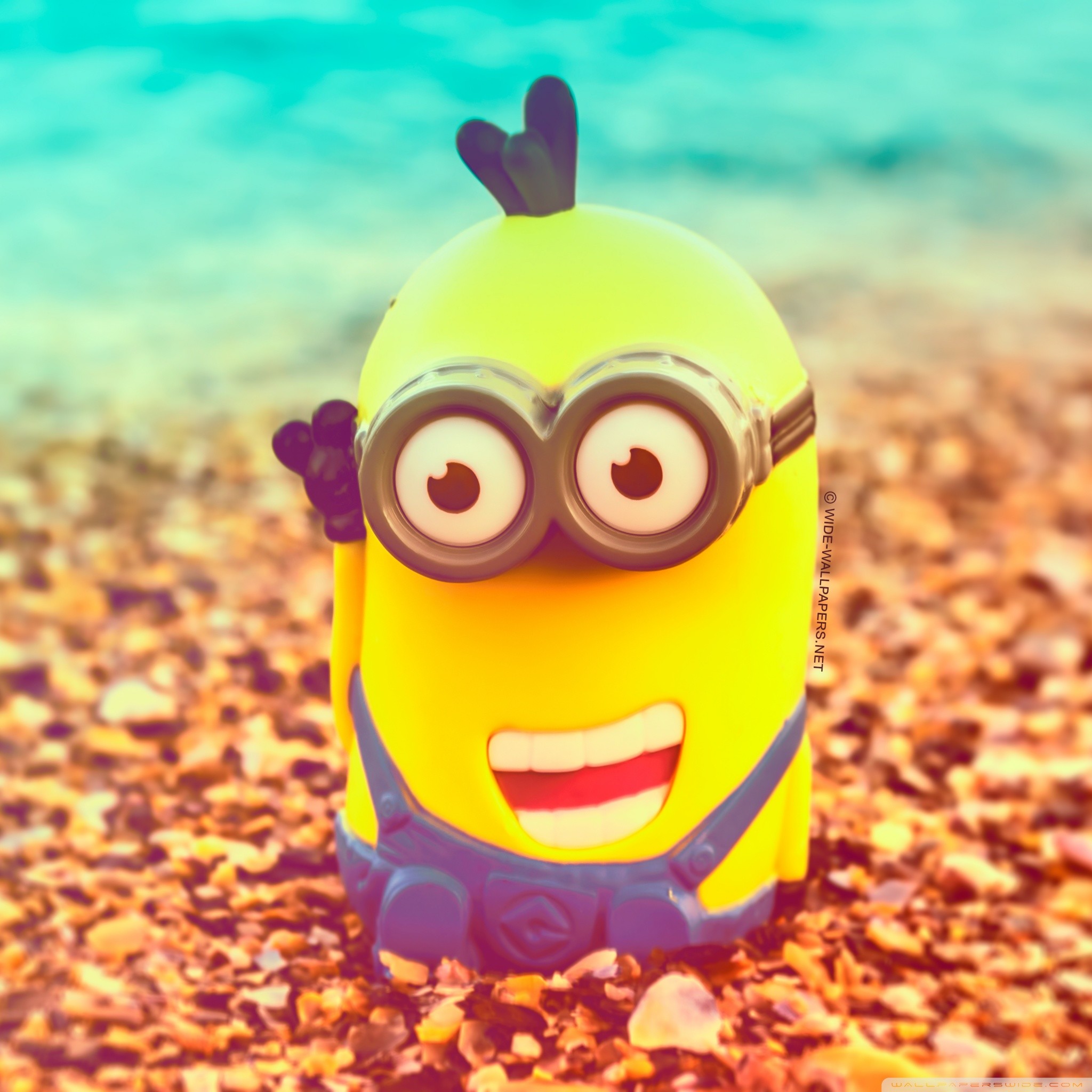 Minion, Sabbia, Colori vivaci, Full HD, schermata di blocco iPad
