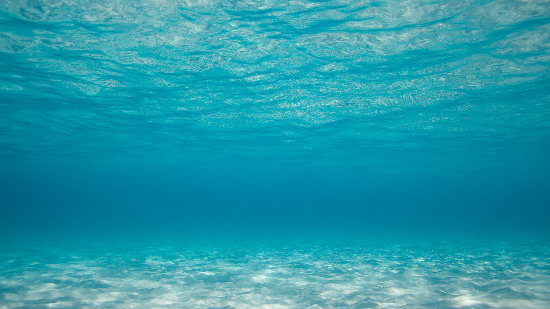 Sott'acqua, Mare, Turchese, Fondale sabbioso, immagine di sfondo PC