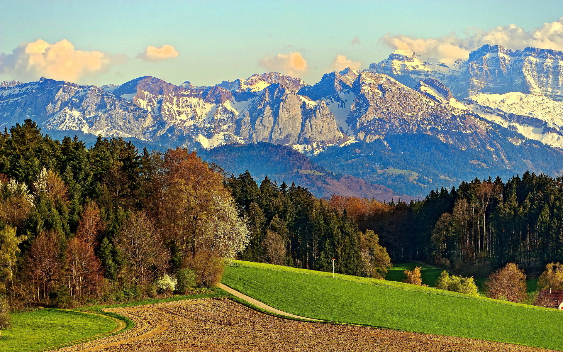 Montagne innevate, Bosco, Prato verde, Alpi, Autunno, Full HD, sfondo Windows 11