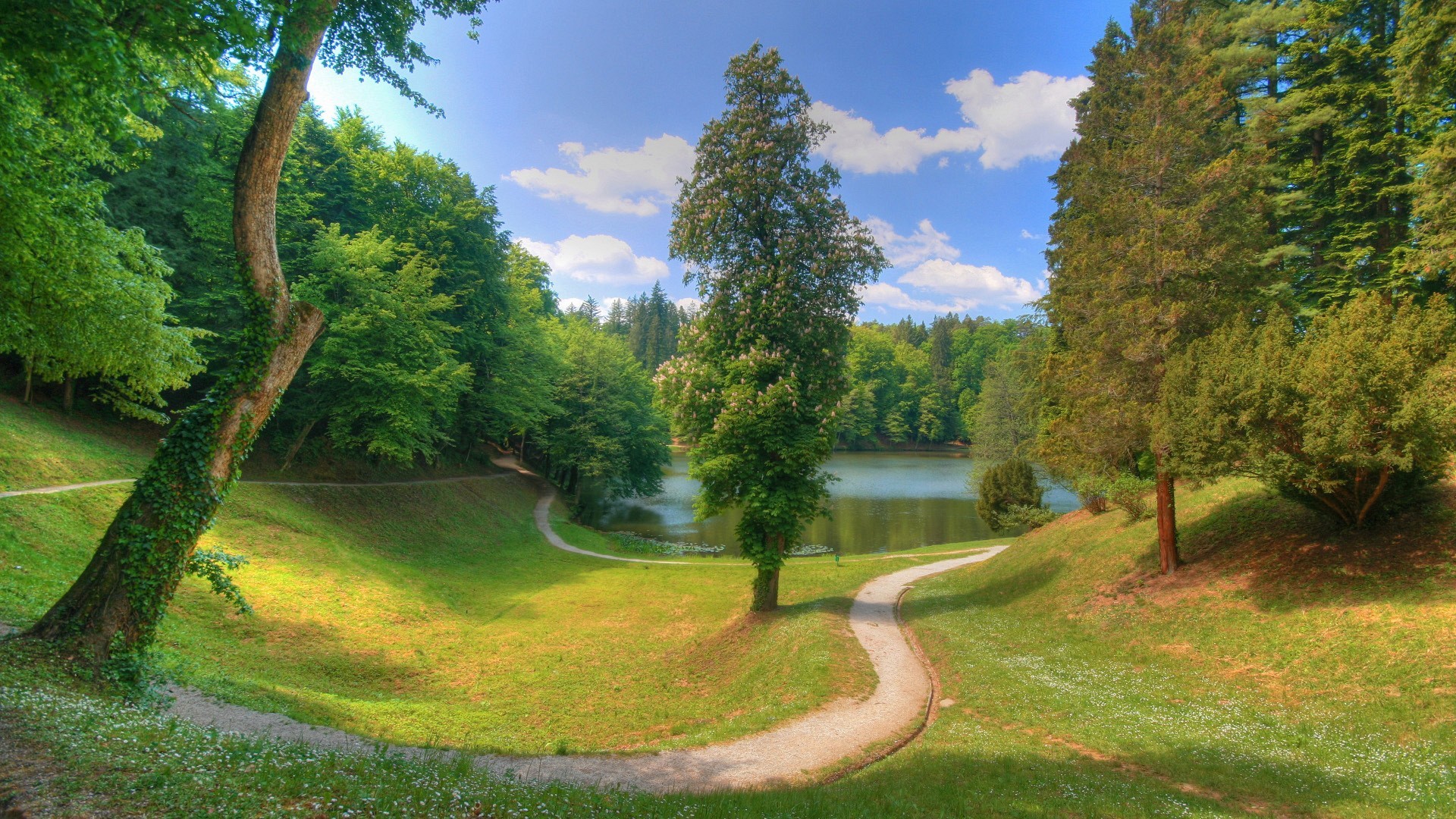 Parco, Sentiero, Alberi, Lago, 16:9 Full HD, wallpaper widescreen