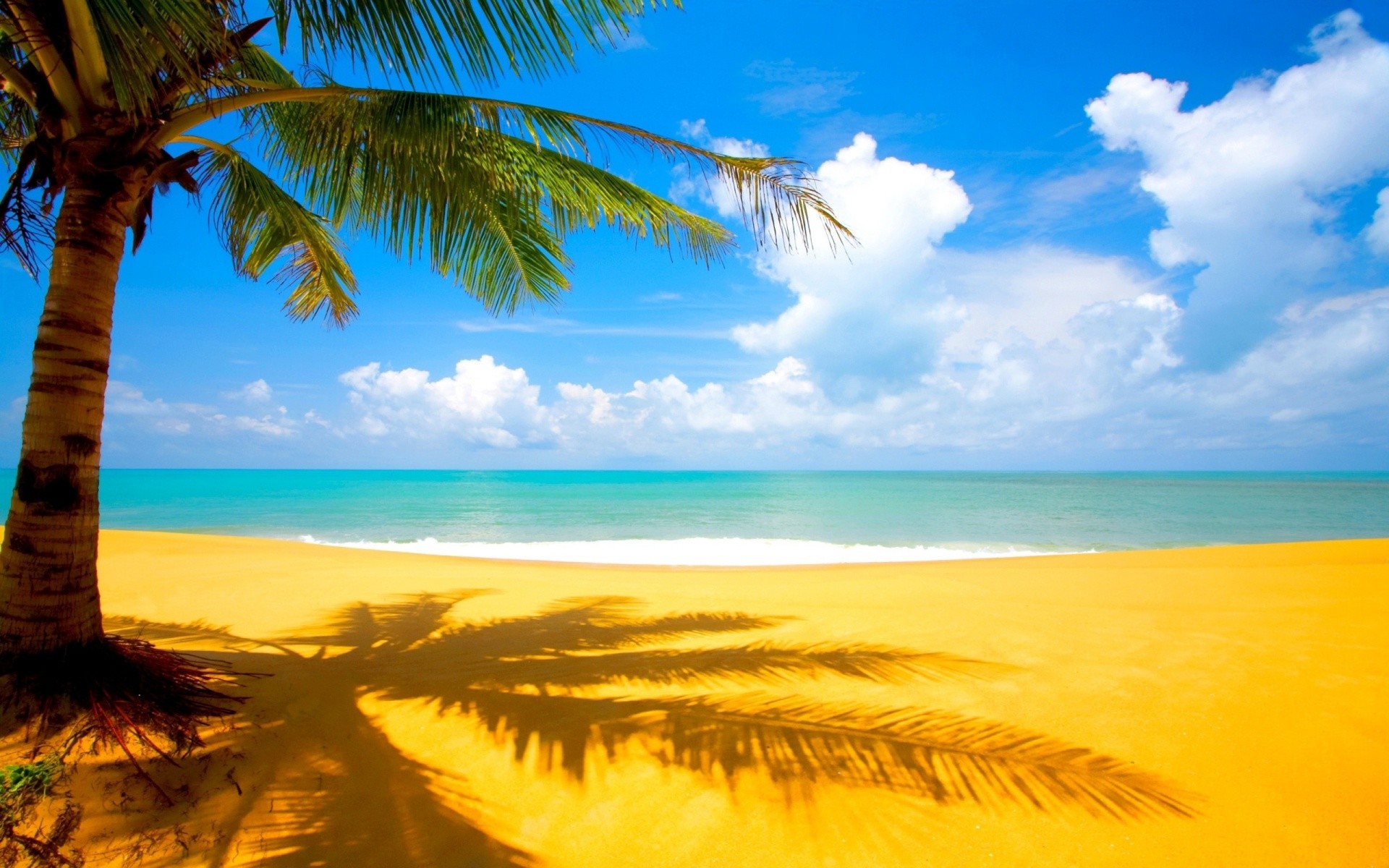 Hawaii, Palma, Spiaggia dorata, Cielo azzurro, Full HD, wallpaper per computer